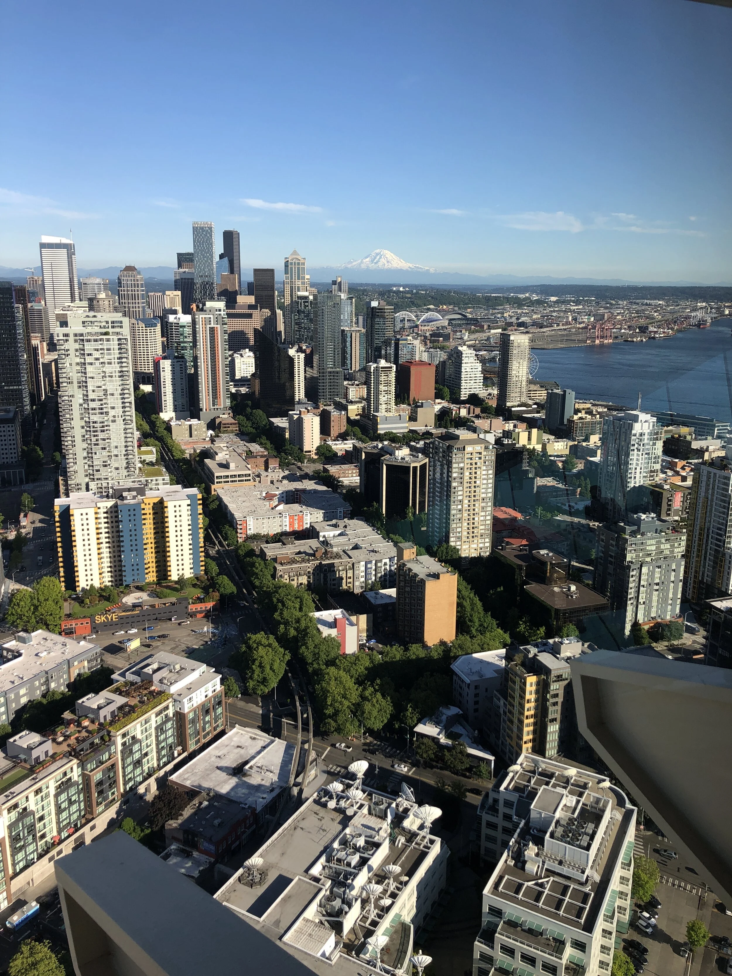 spaceneedleview.JPG