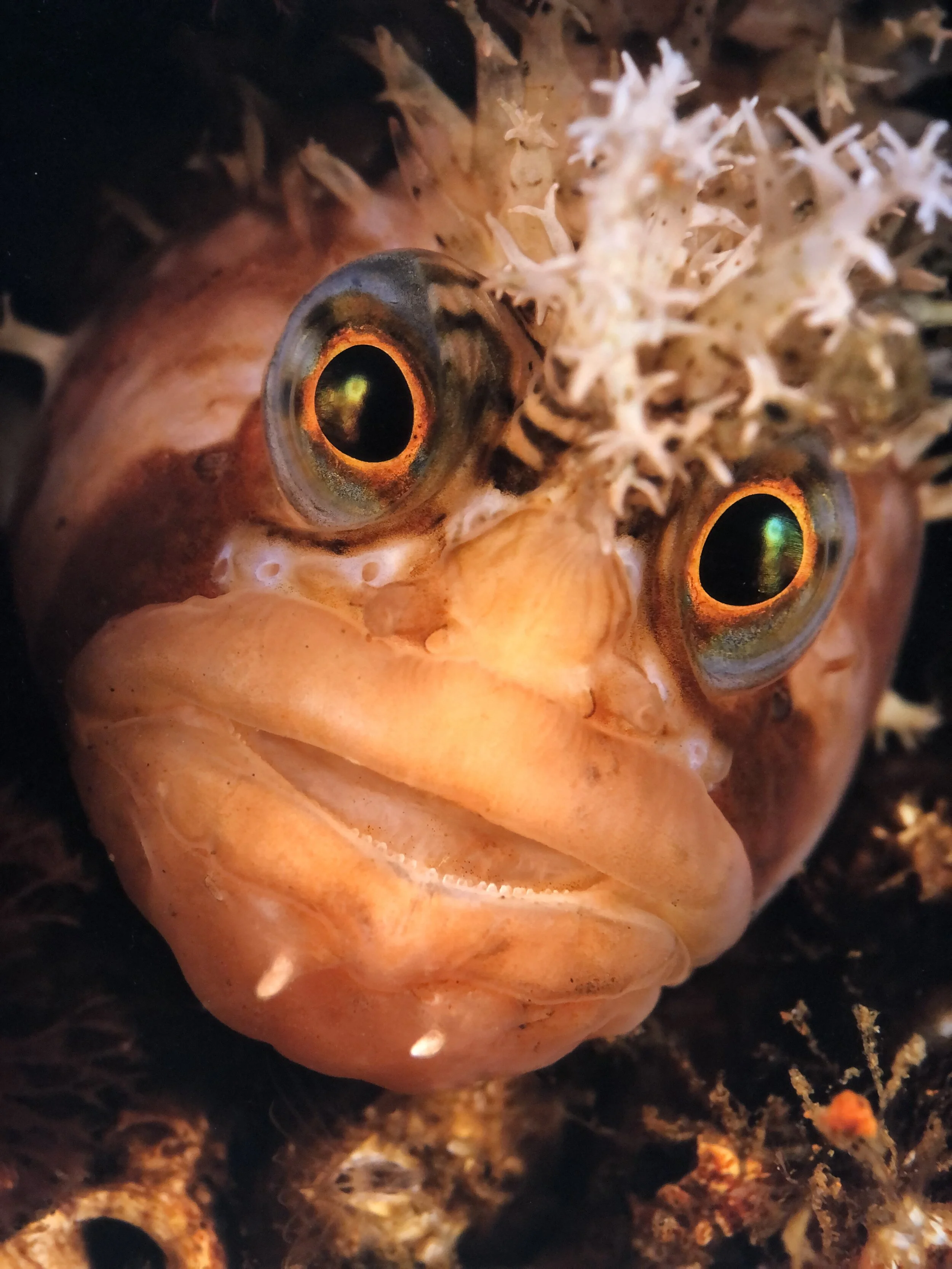 my face when someone asks me whether I want to go to an aquarium