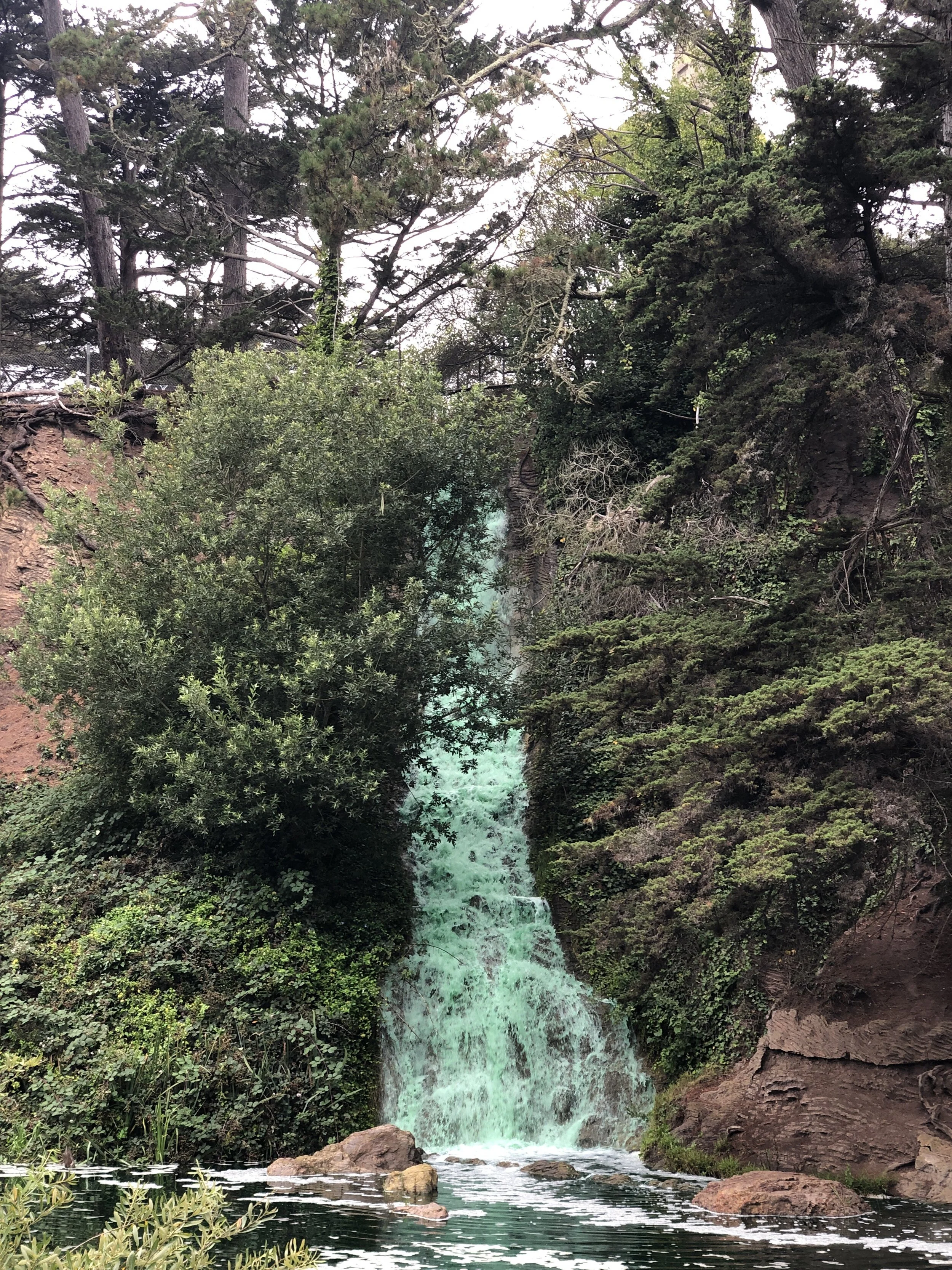 IMG_6855.JPEG