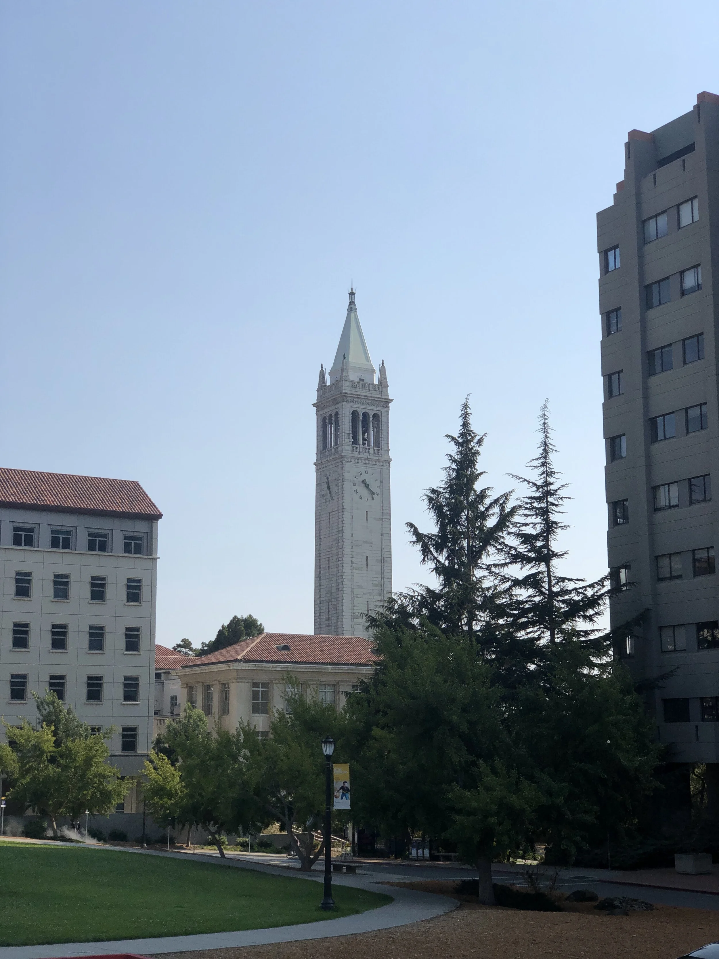 IMG_6903.JPEG