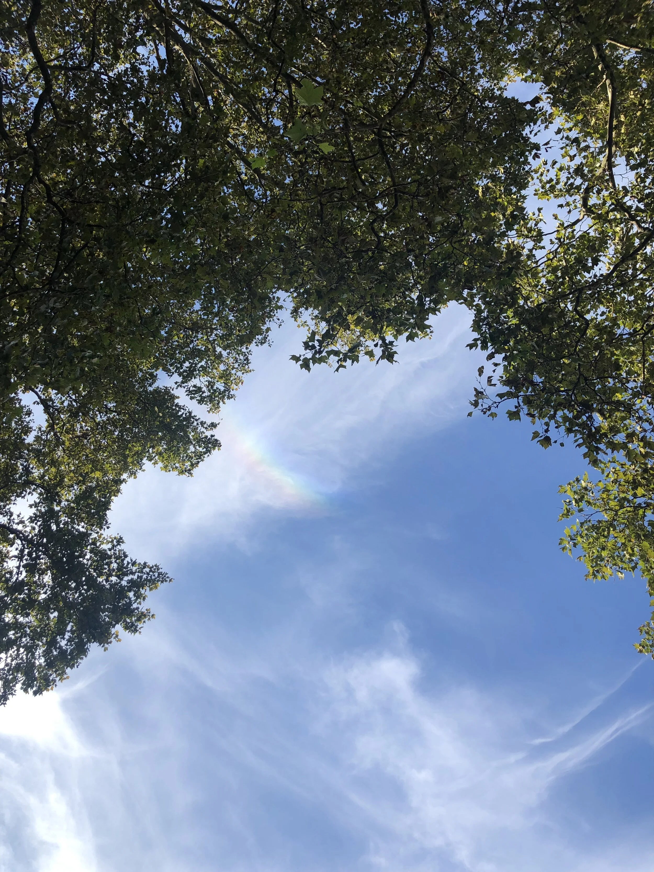 rainbow.jpg