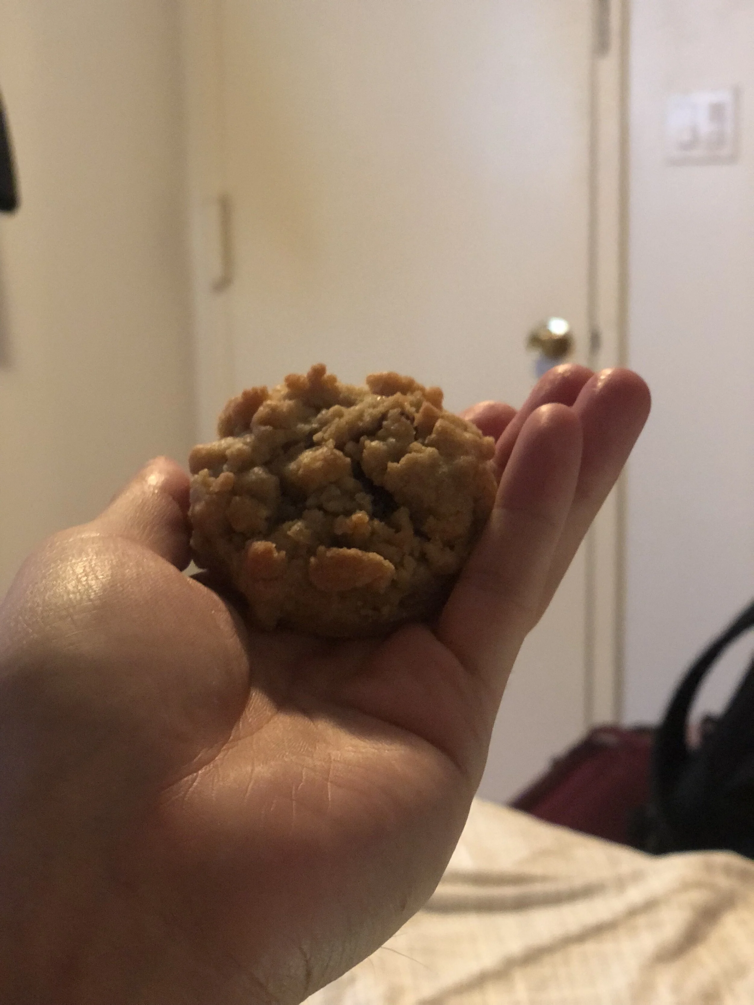 cookie.jpg