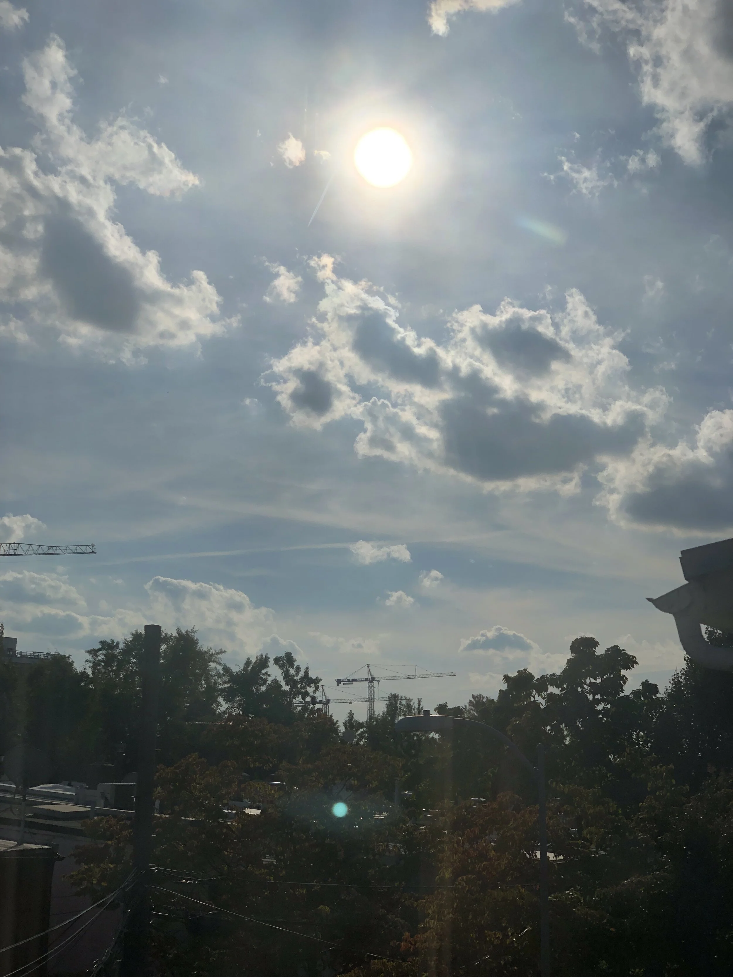 sunlight.jpg