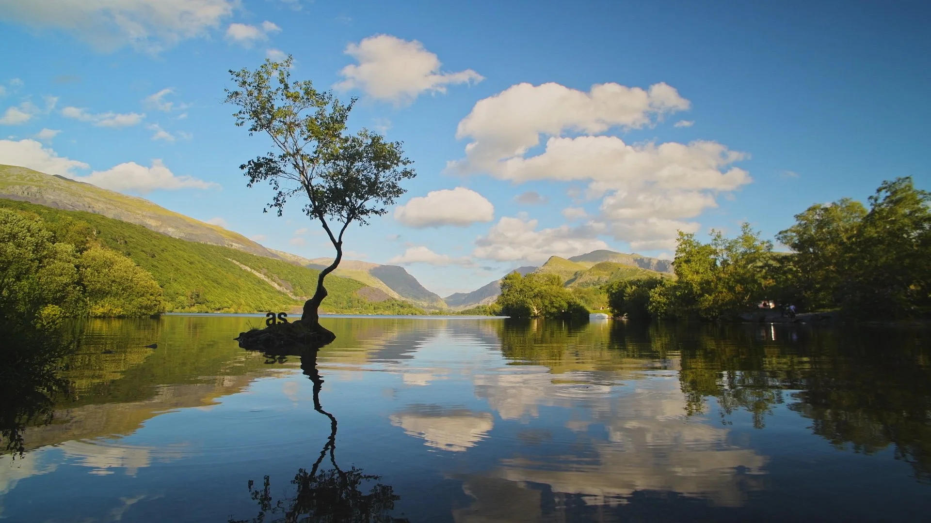 Adult Swim - Hidden Logo