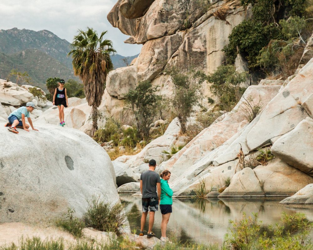 ASA_Nature_Red_Mexico_Baja_California_Sur_7.png