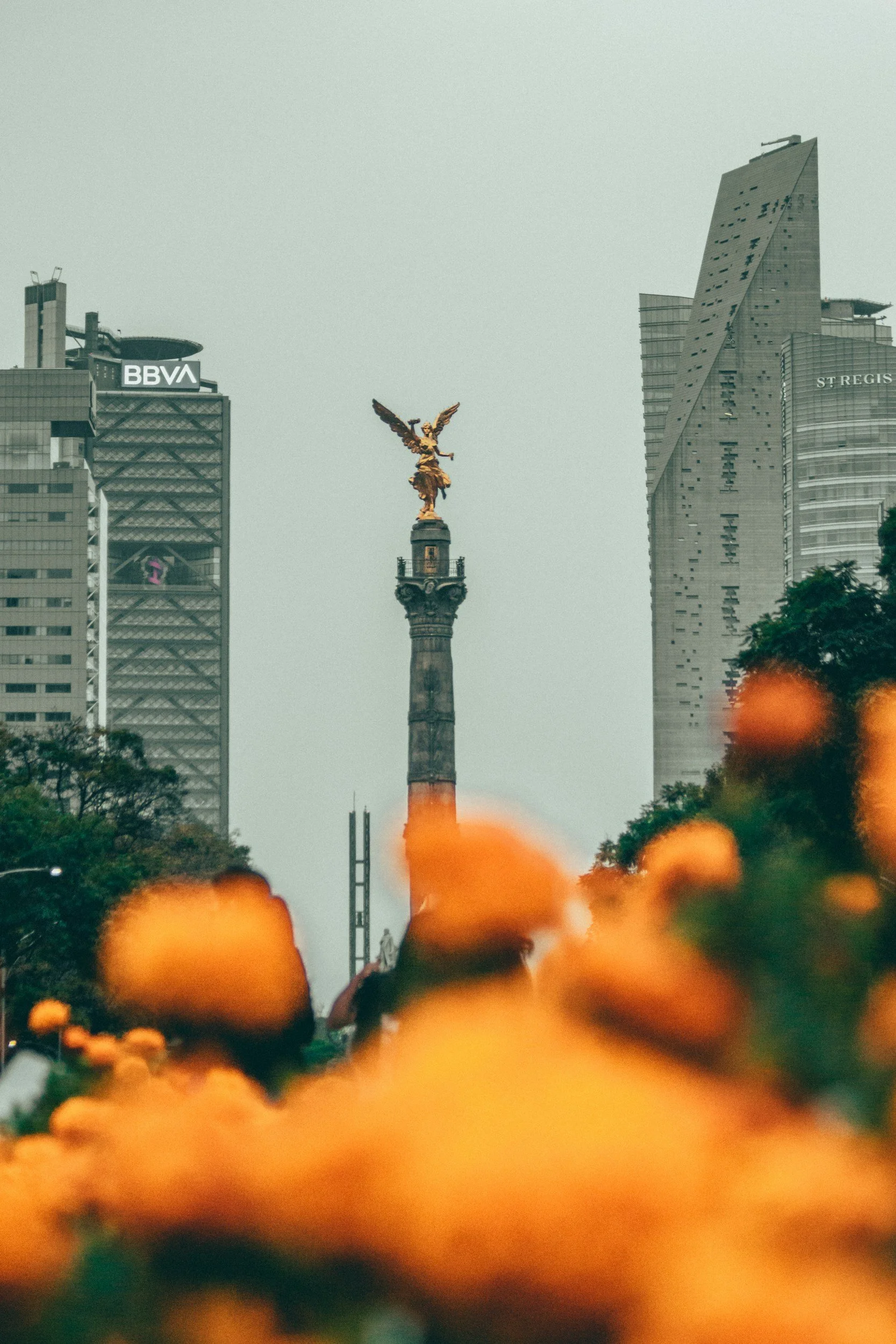 unsplash-image-gGicXuU6DLQ.jpg