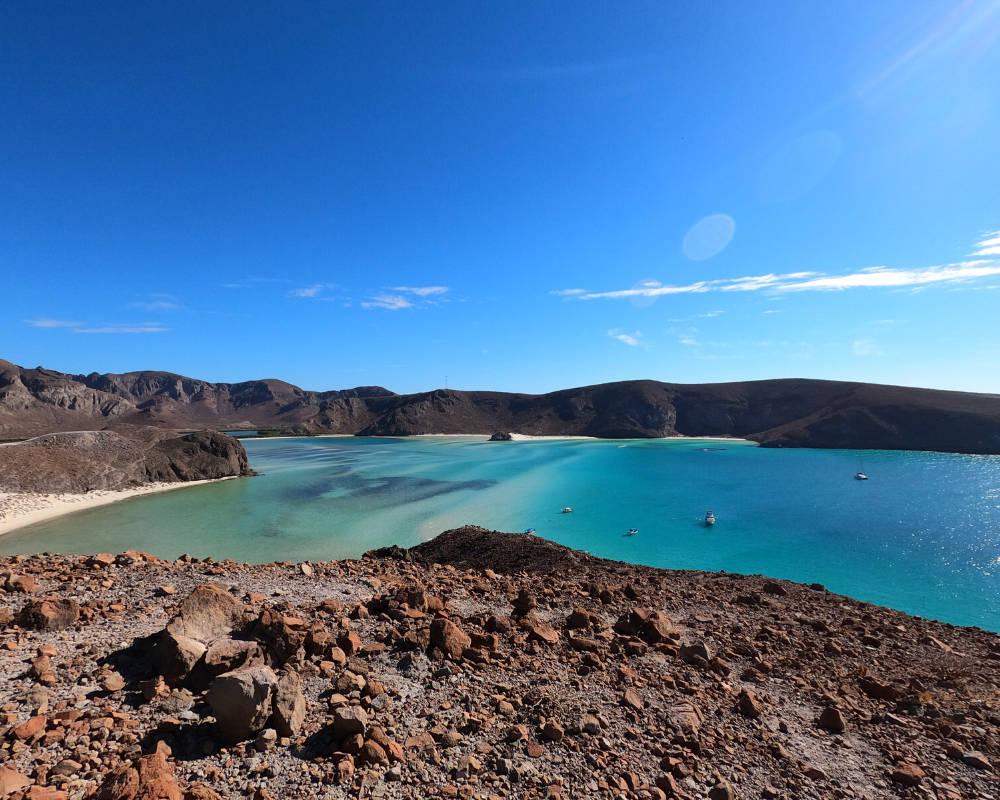 ASA_Nature_Red_Mexico_Baja_California_Sur_24.png