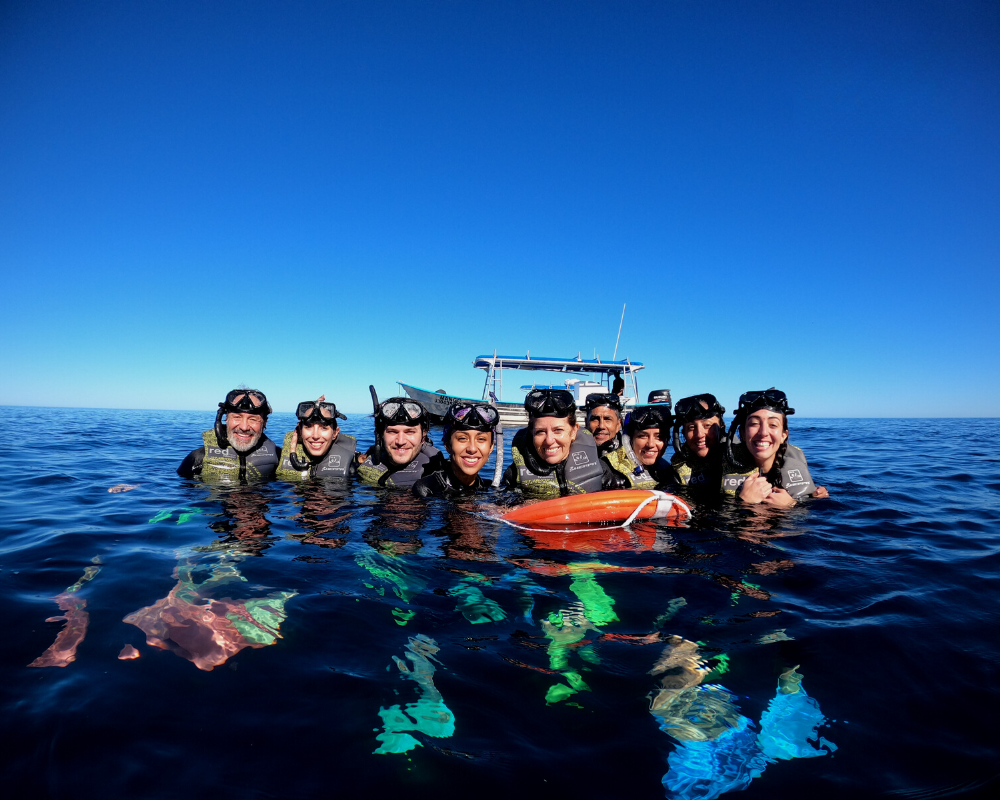 ASA_Nature_Red_Mexico_Baja_California_Sur_12.png