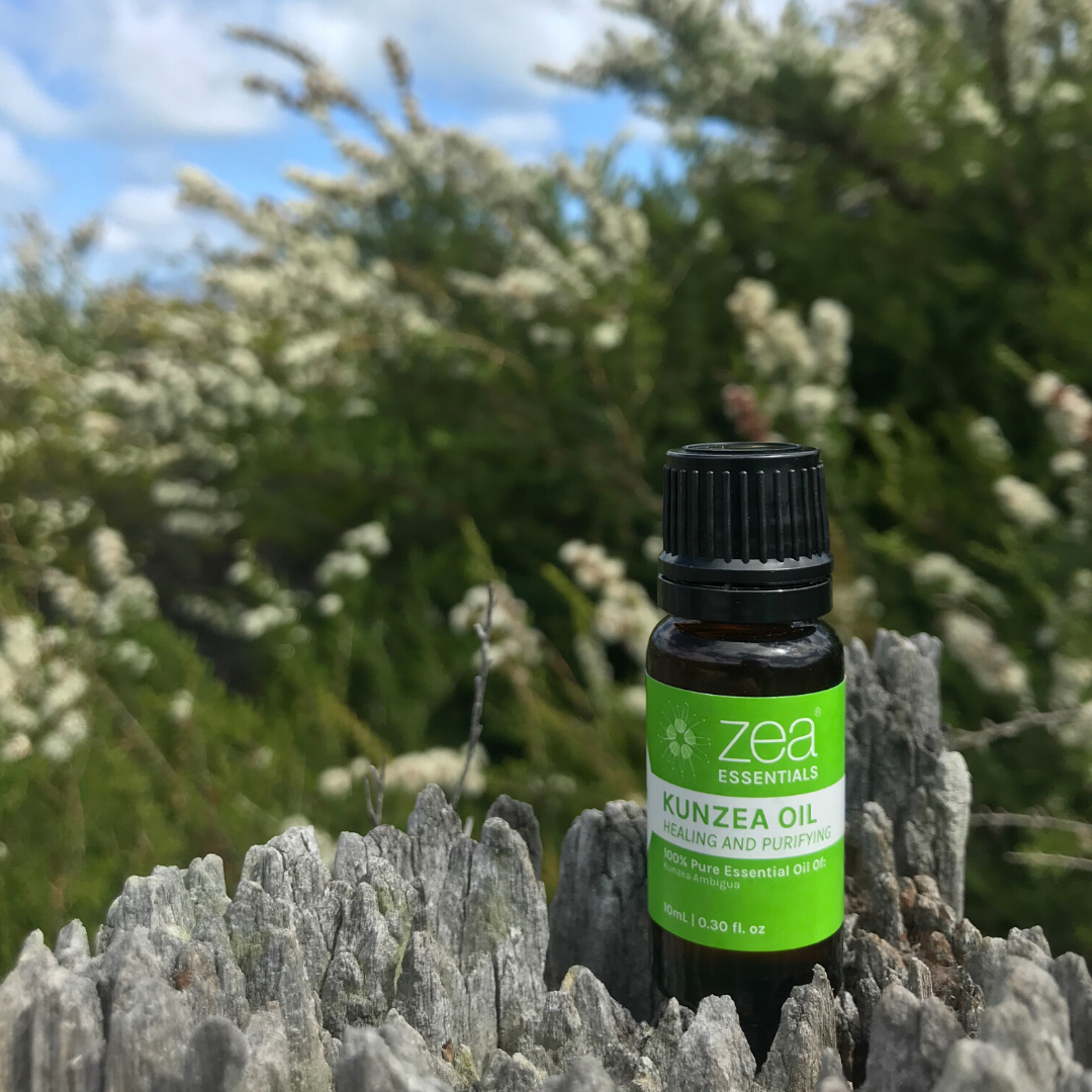 Kunzea Essential Oil