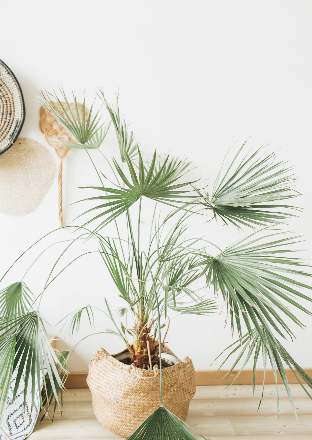 Copy of Untitled(2).png