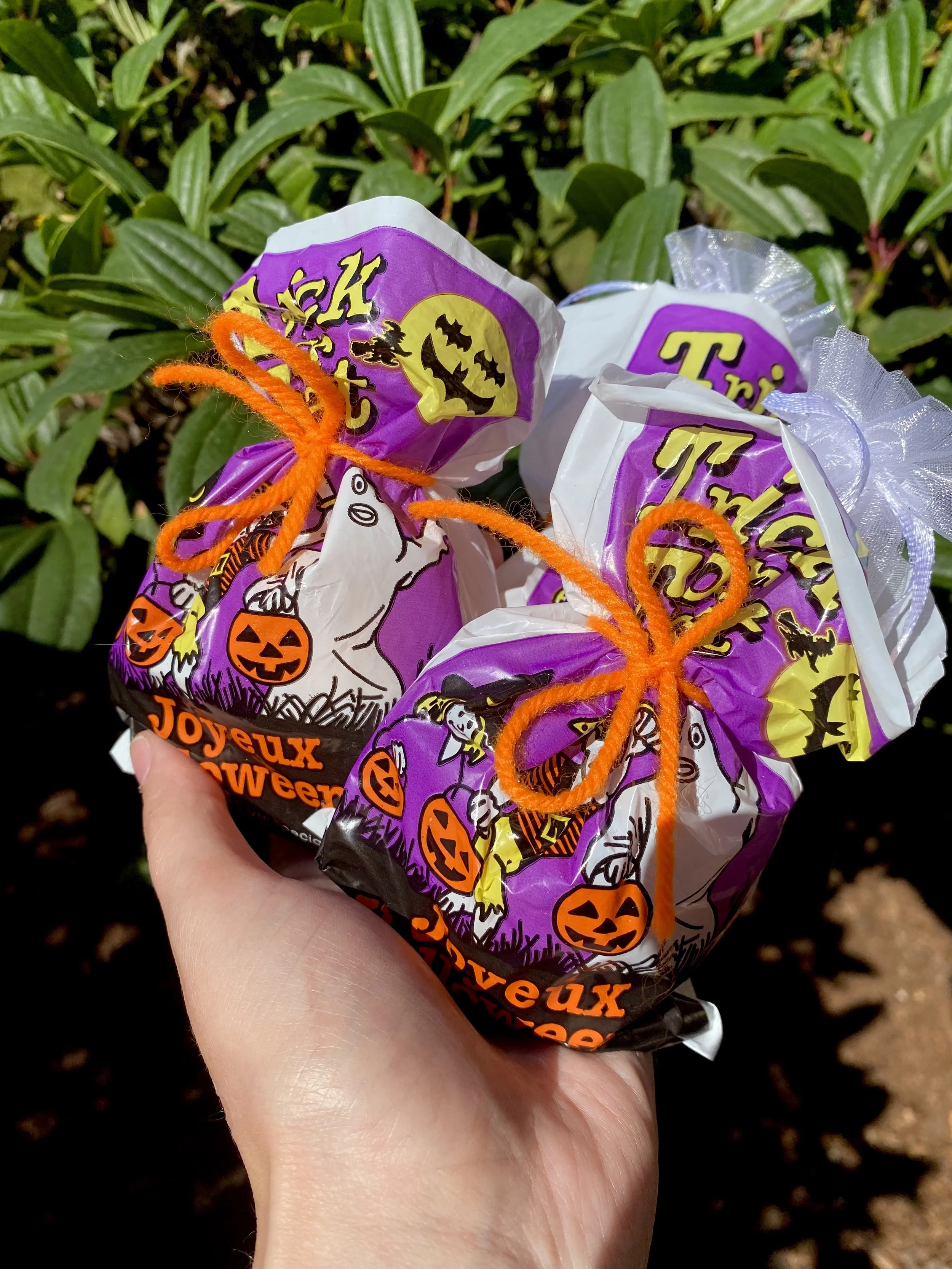 Halloween Mystery Bag