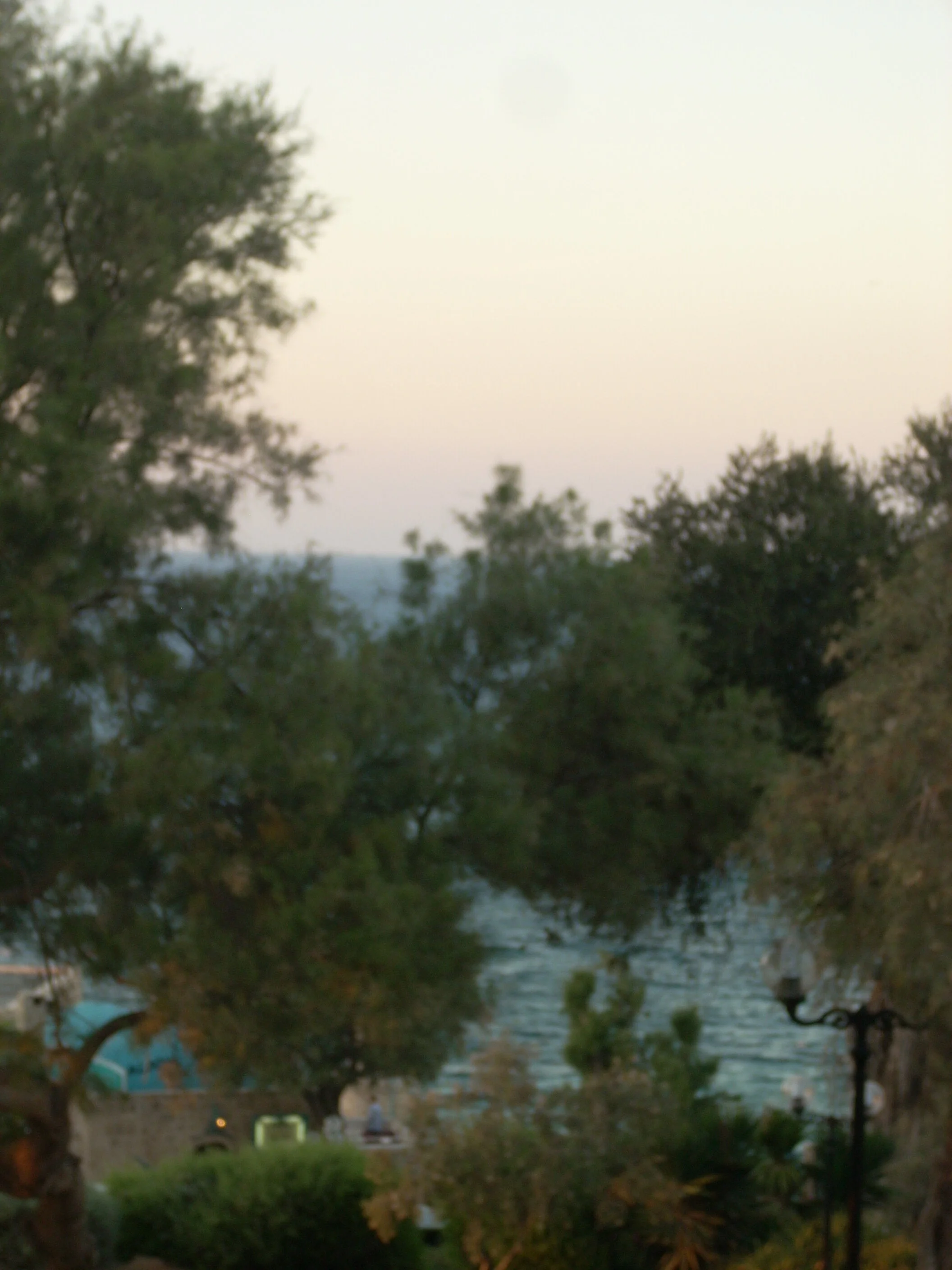 Hey, Remember when we went to Israel...that was fun! 544.JPG