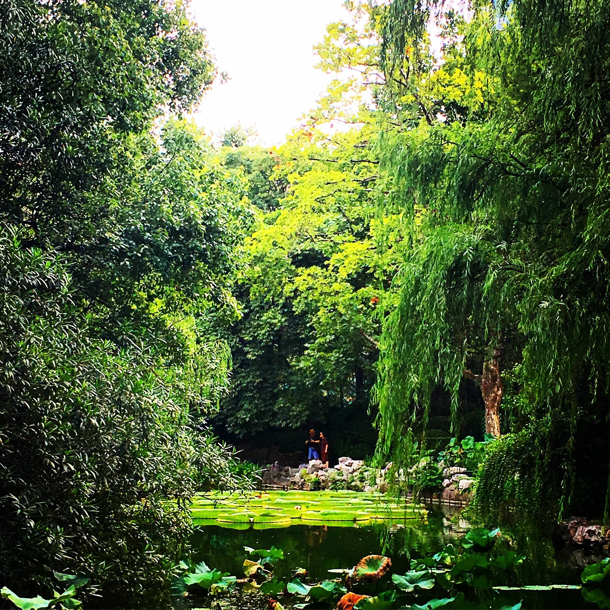 Shanghai, China - 2017