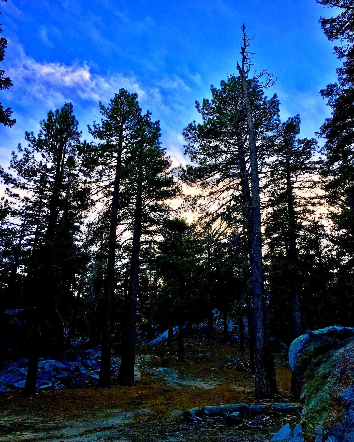 Mount San Jacinto State Park 
Palm Springs, CA 
December, 2017
.
.
.
.
.
#write #writer #writing #blog #blogger #blogging #travel #traveltheworld #trip #trips #photo #photography #photographer #photooftheday #travelphoto #travelphotography #travelpho