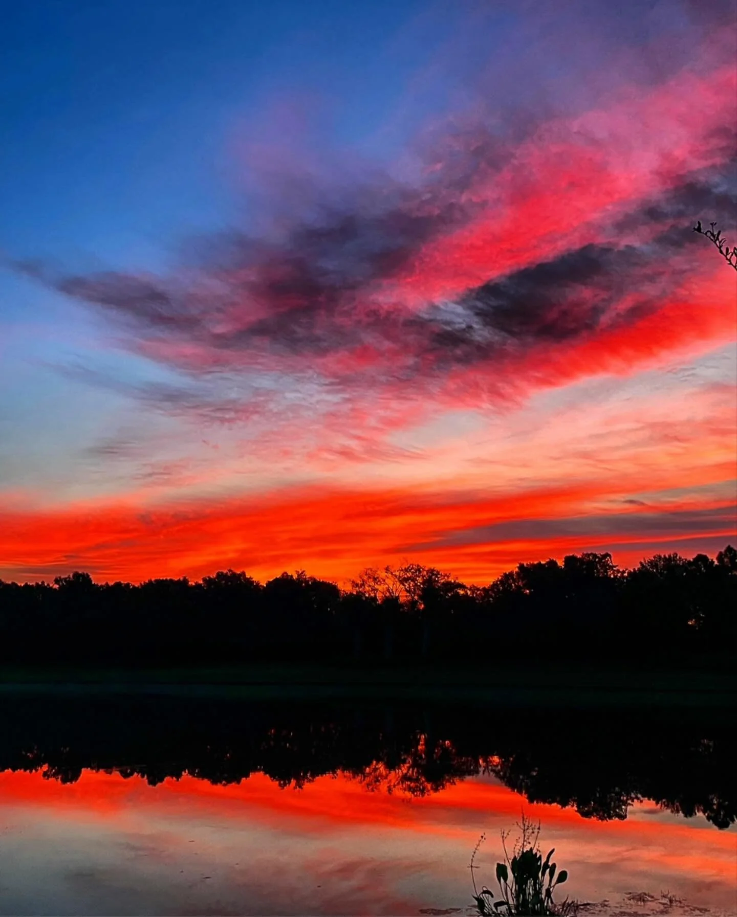 When the sky turns into a masterpiece! 🌄💖 This colorful sunset over the lake is a perfect end to the day and forget that tomorrow is Monday. 

.

.

.

#chasingsunsets #scenicview #naturephotography #travel #traveler #travelblog #travelblogger #tra