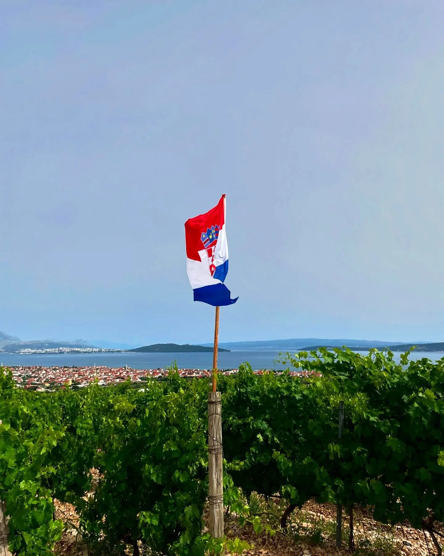 Thinking about my time in Croatia this summer and the views from Kastel Sikuli Winery.

.

.

.

#kastel #kastelsikuli #winery #views #split #splitcroatia  #croatia #travel #traveler #traveling #travelmemories #travelphotography #travelphoto #travelb