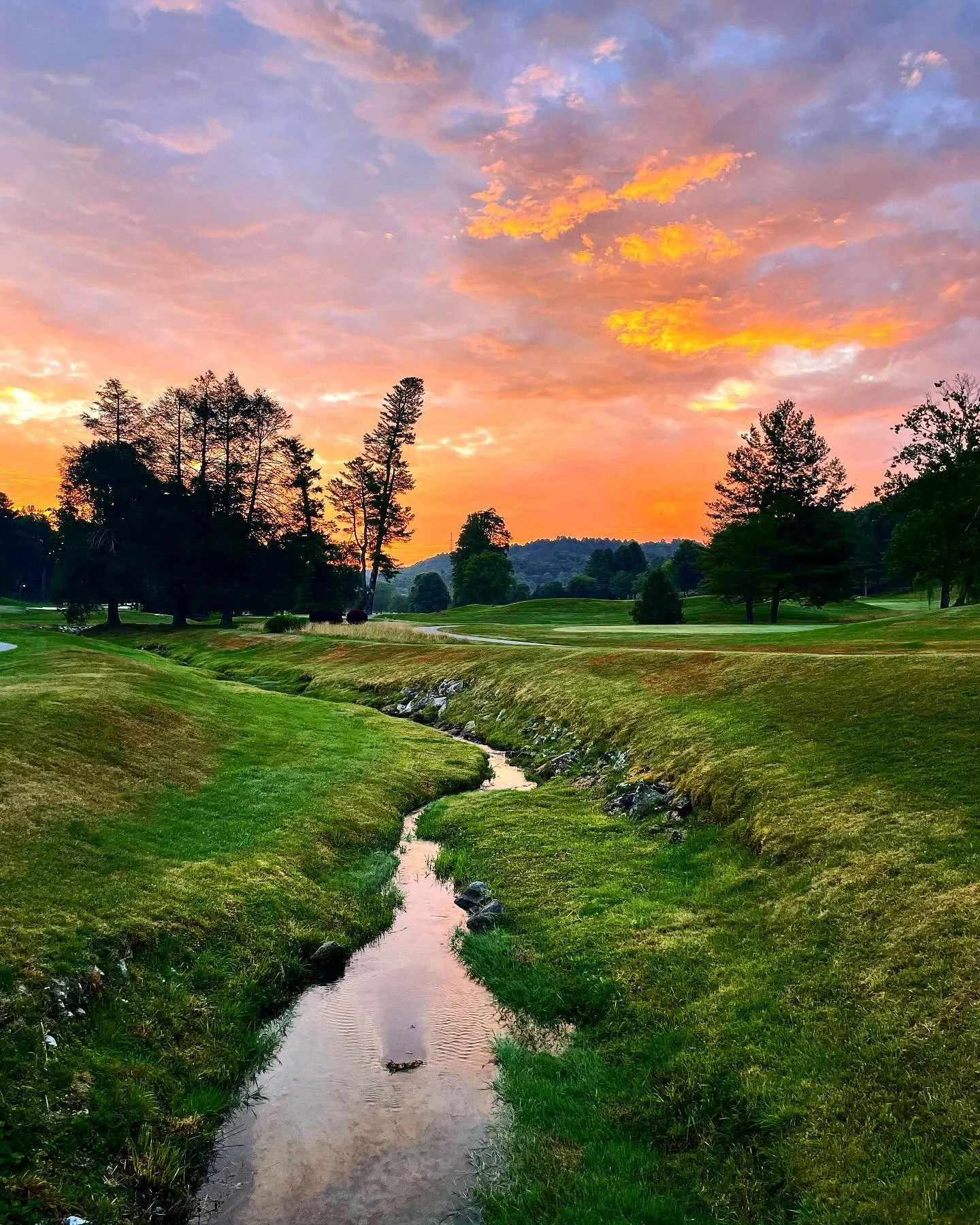 As the day draws to a close, the sunset casts a warm glow over the field, while the stream reflects the vibrant colors of the sky. Let this picturesque scene inspire peace and reflection. 🌄

.

.

.

#eveningglow #naturephotography #sunset #nature #
