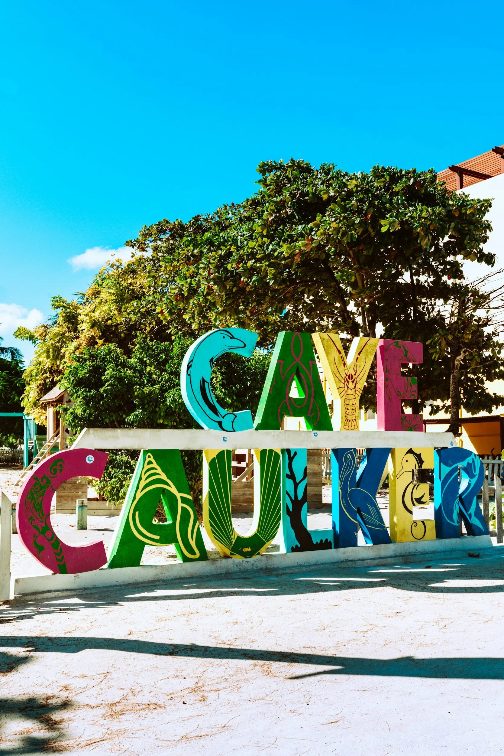 Caye Caulter