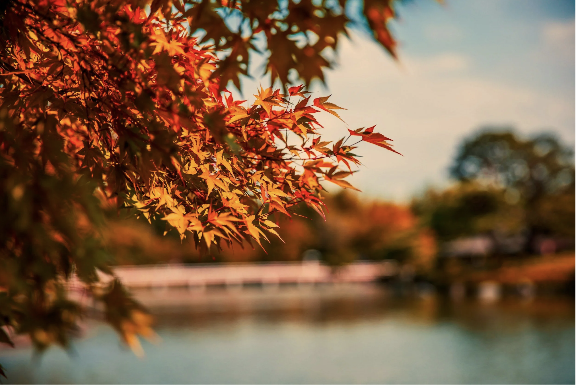 Colorful autumn leaves overlooking a peaceful lake, representing the beginning of fall and the holiday travel planning season.