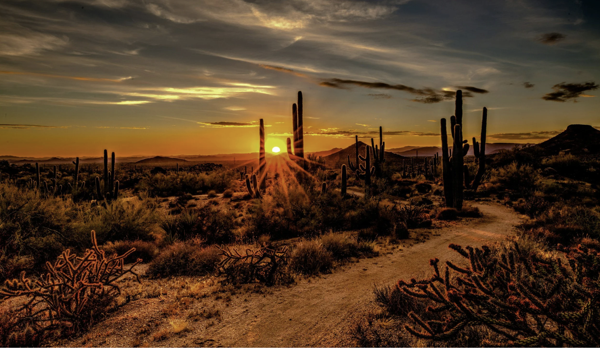 Sunset over the Sonoran Desert near Scottsdale, Arizona, with saguaro cacti and mountains, representing a warm-weather winter getaway.