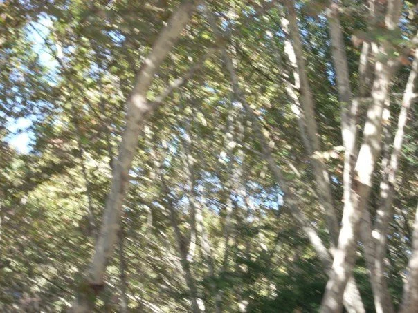 1928298_512379415562_5198_n_512379415562.jpg