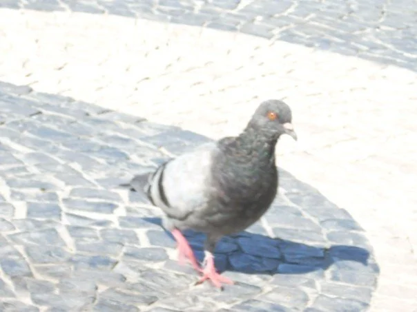 1928298_512379405582_4497_n_512379405582.jpg