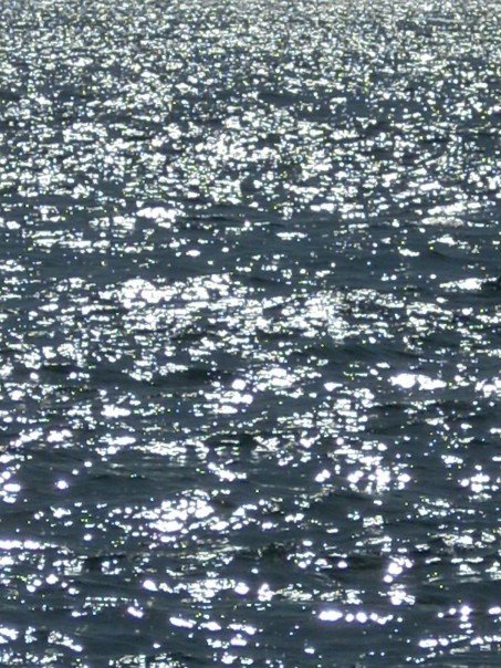 1928298_512379320752_8358_n_512379320752.jpg