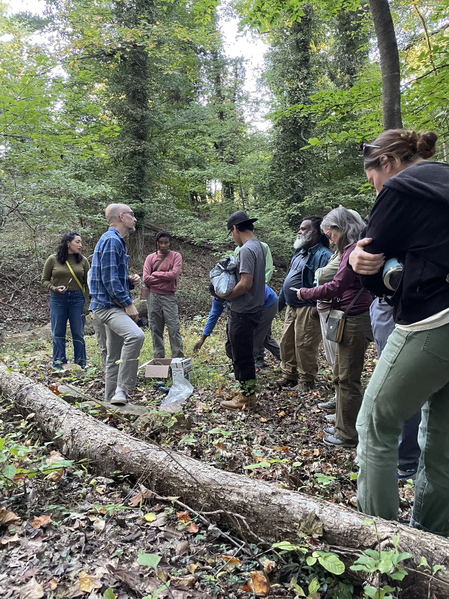 Charm City Caps Foraging Workshop
