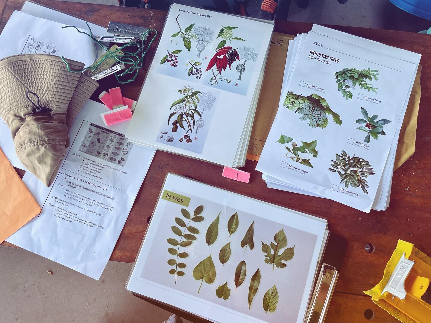 All set for our #identification #workshops @ichkhly this morning! The kids will be trying to identify the trees without labels! 💪🏽💪🏽 

#outdooreducation #nativespecies #botanicalillustration #knowledgeispower