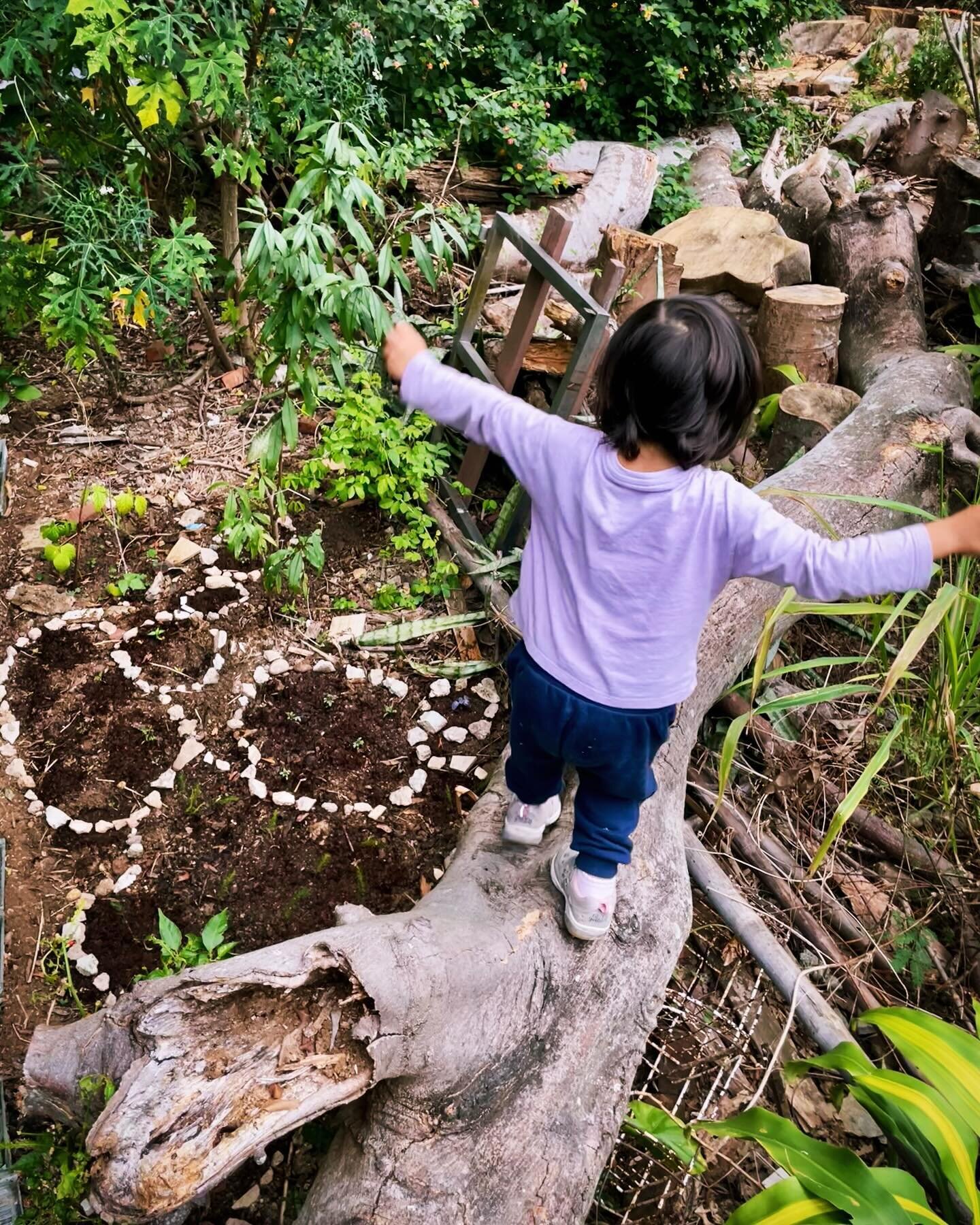 If children don&rsquo;t spend time in #nature they will not fight to save it. - George Monbiot

#naturechild #outdooradventures #communitygarden #log #naturelover