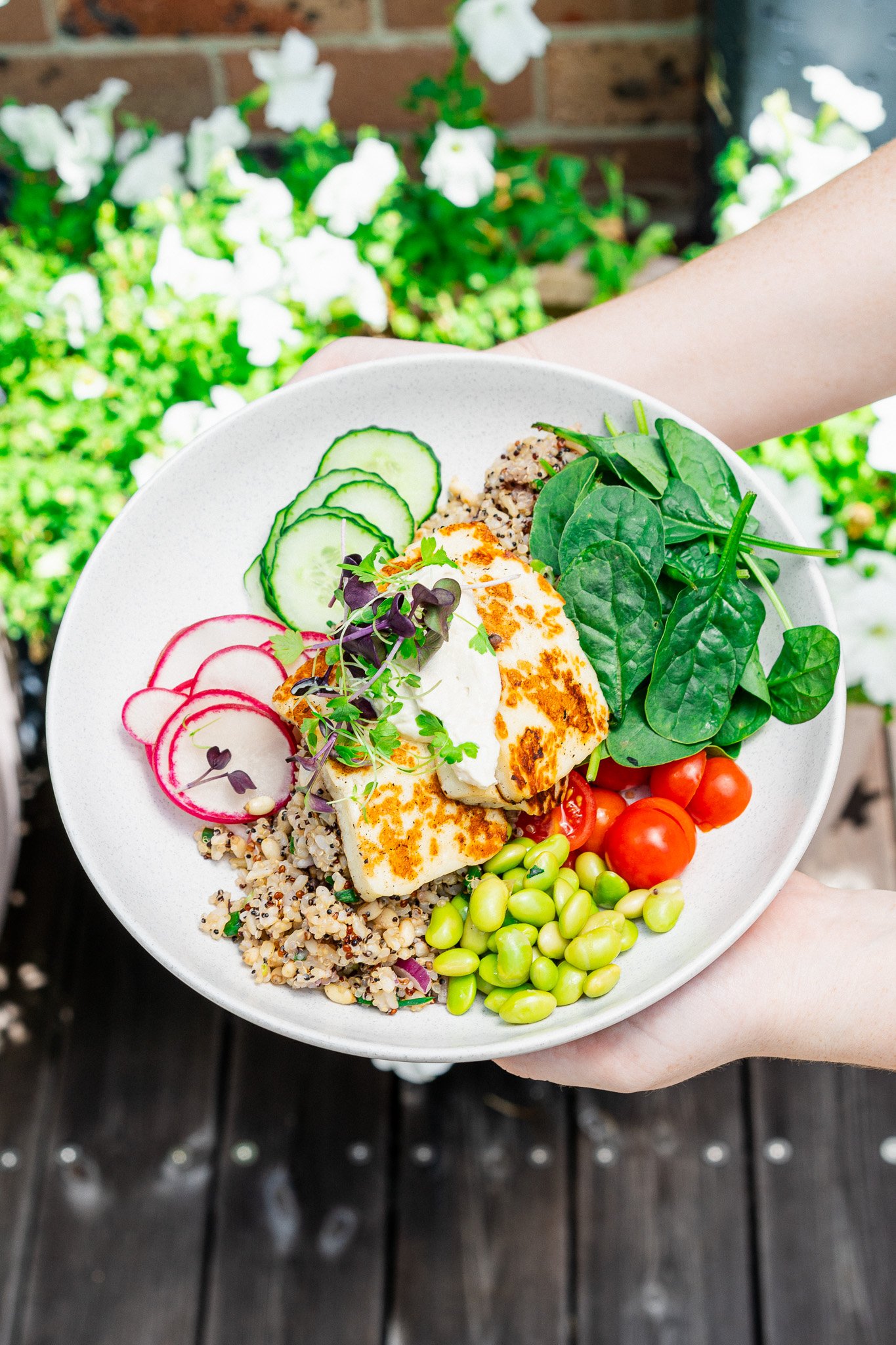 Try our garden fresh salads