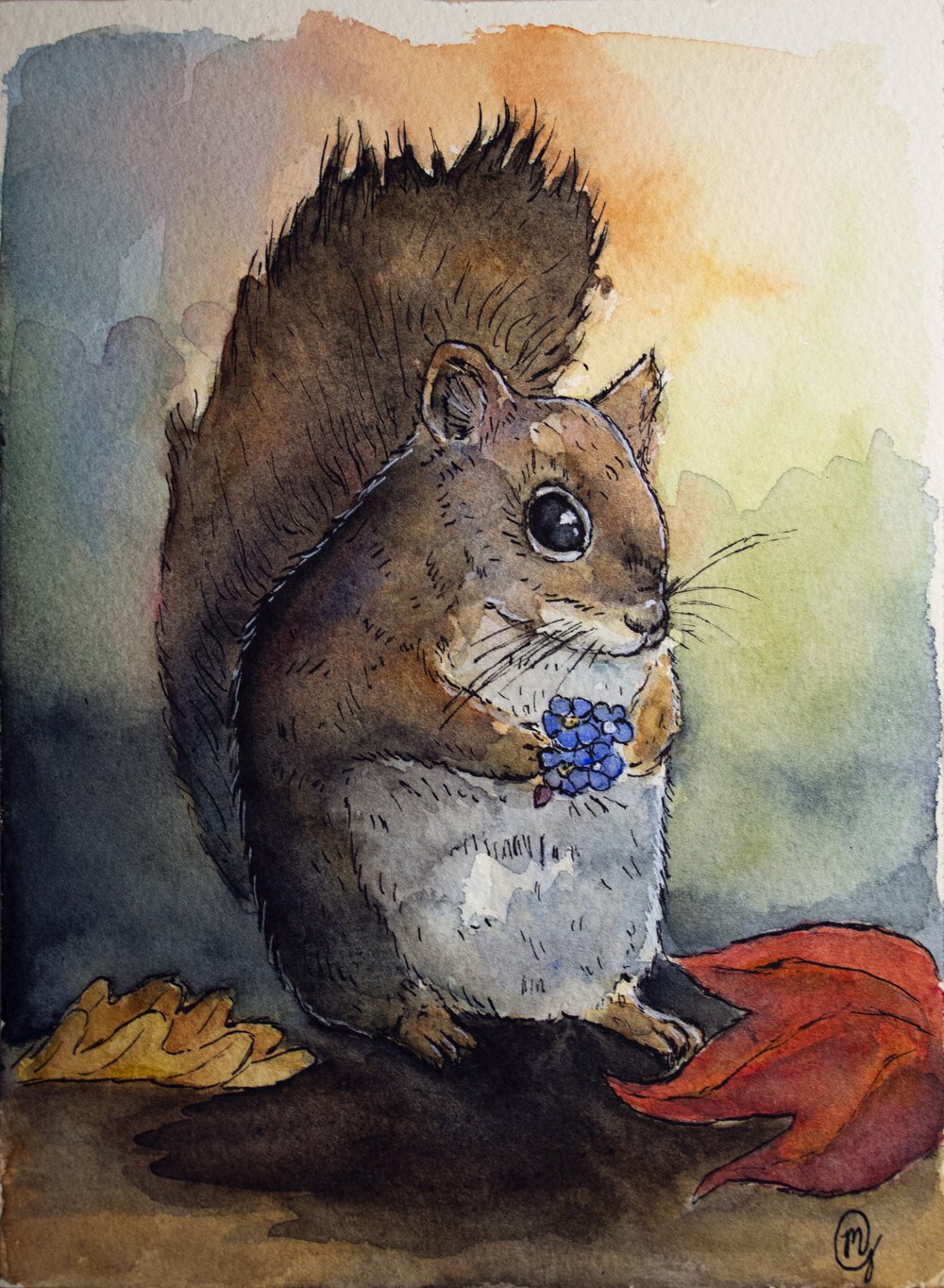 a+squirrel+c.jpg