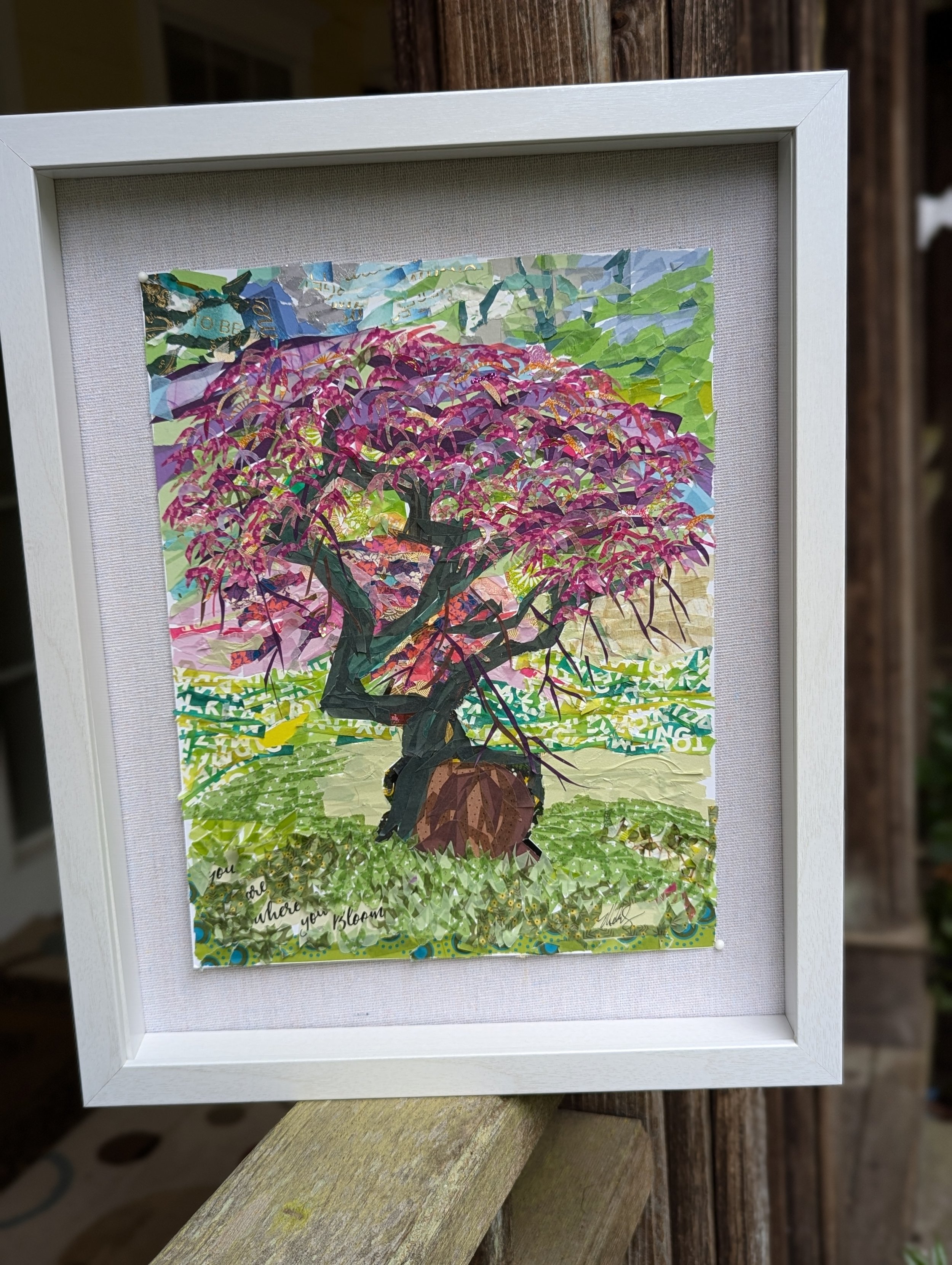 Japanese Maple tree with pink, purple, yellow and gold leaves with the trunk and branches in a green field