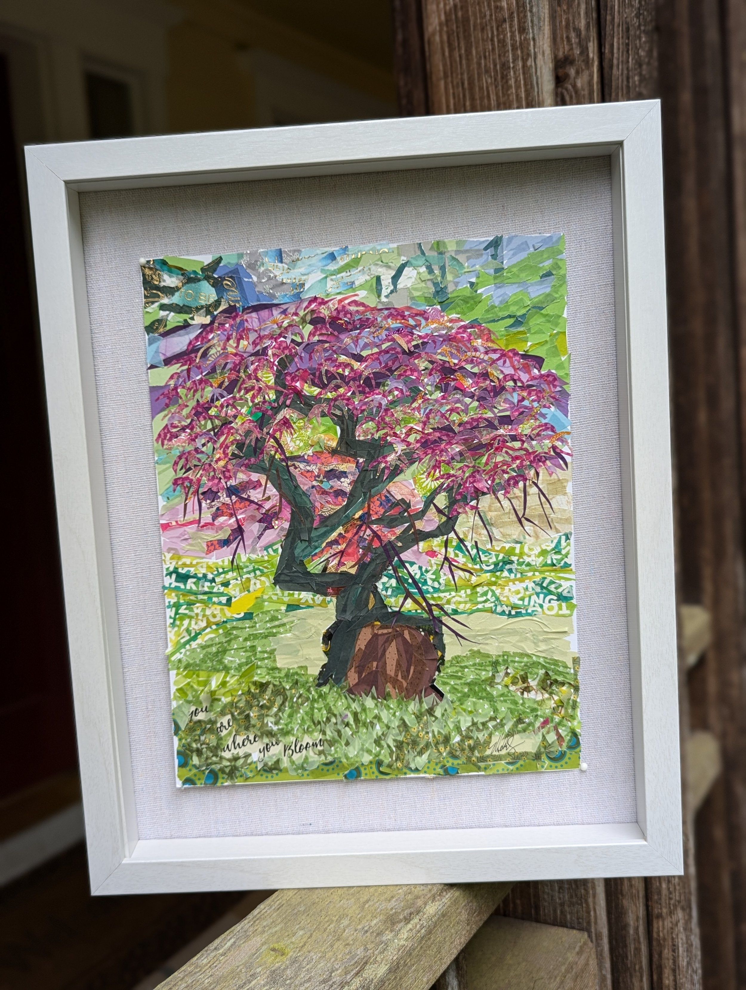 Japanese Maple tree with pink, purple, yellow and gold leaves with the trunk and branches in a green field
