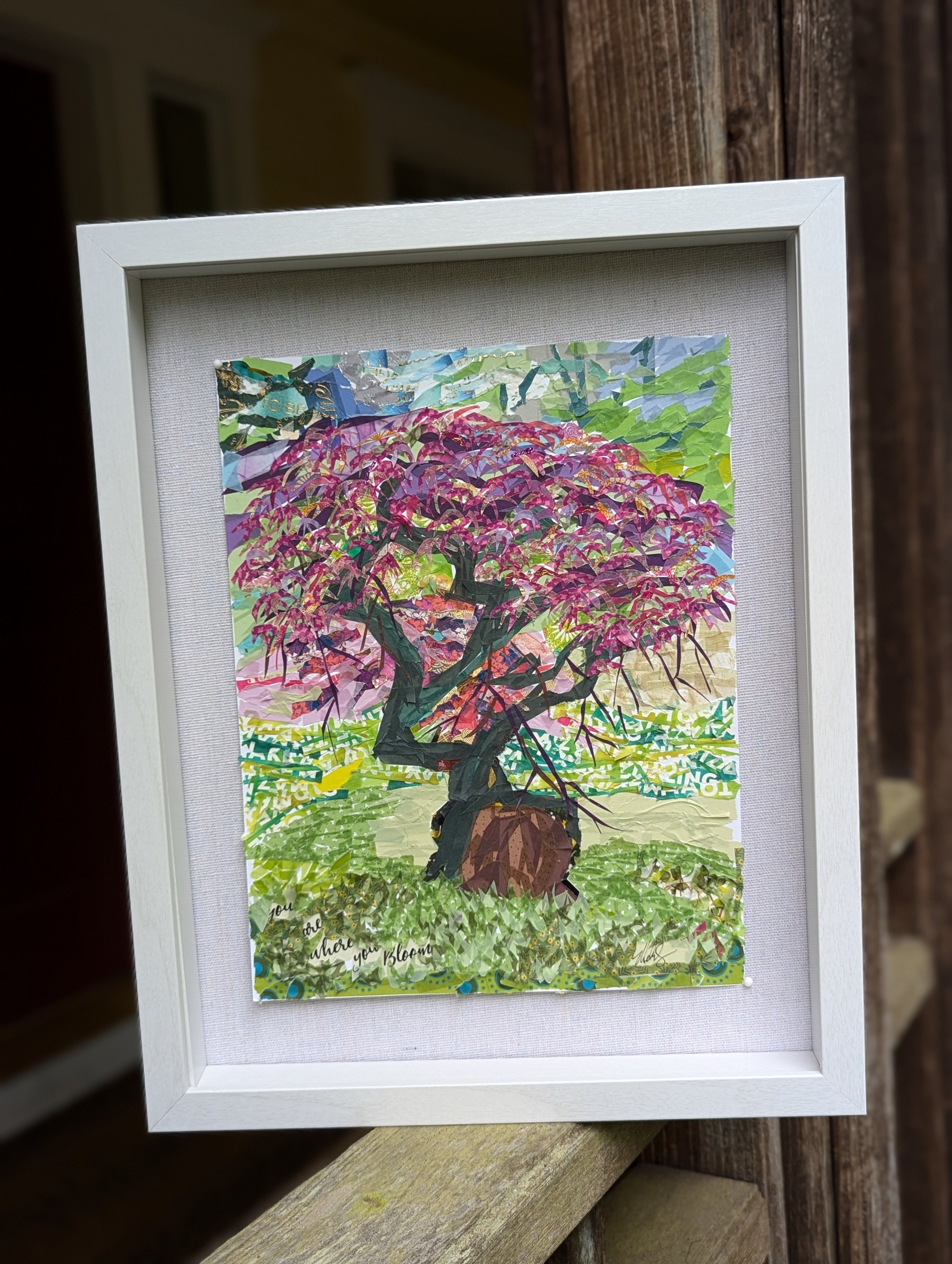 Japanese Maple tree with pink, purple, yellow and gold leaves with the trunk and branches in a green field