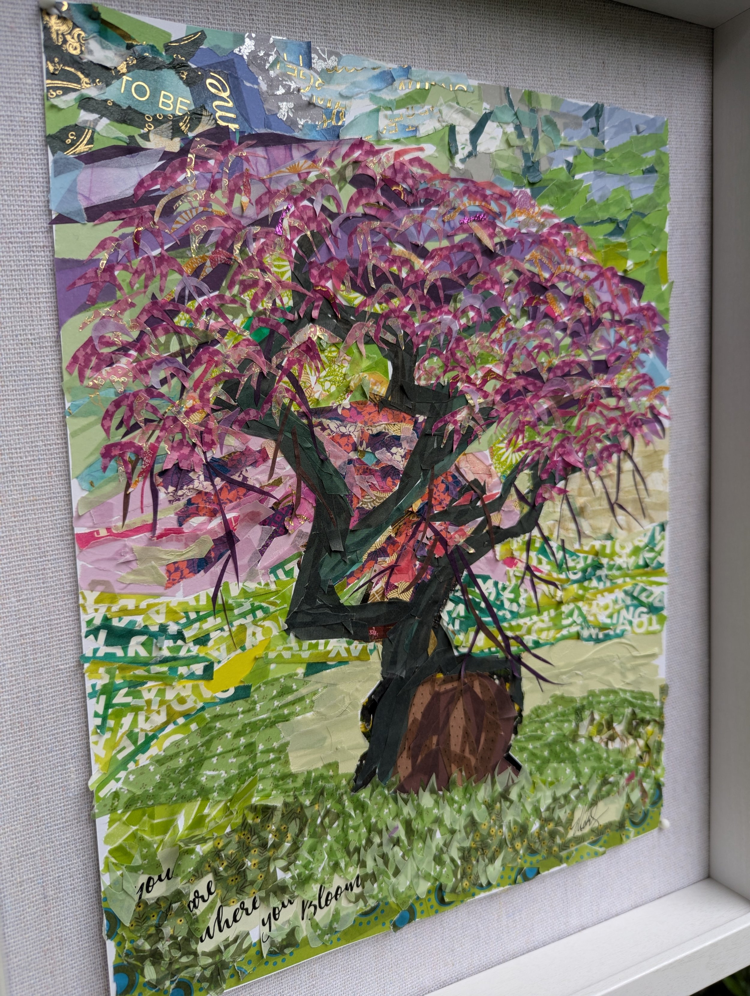 Japanese Maple tree with pink, purple, yellow and gold leaves with the trunk and branches in a green field