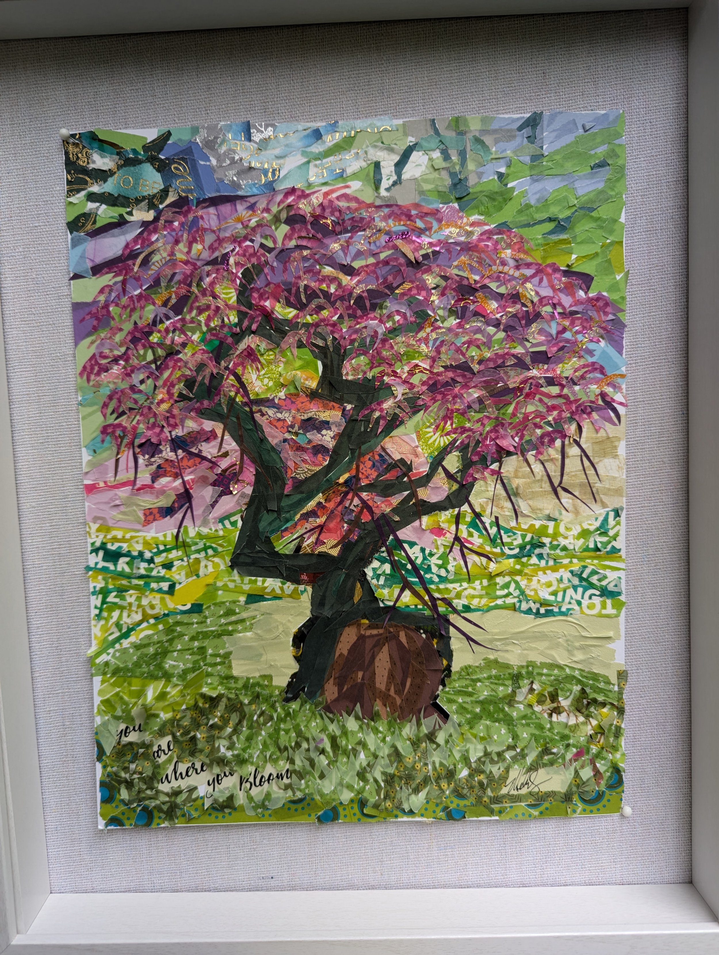 Japanese Maple tree with pink, purple, yellow and gold leaves with the trunk and branches in a green field