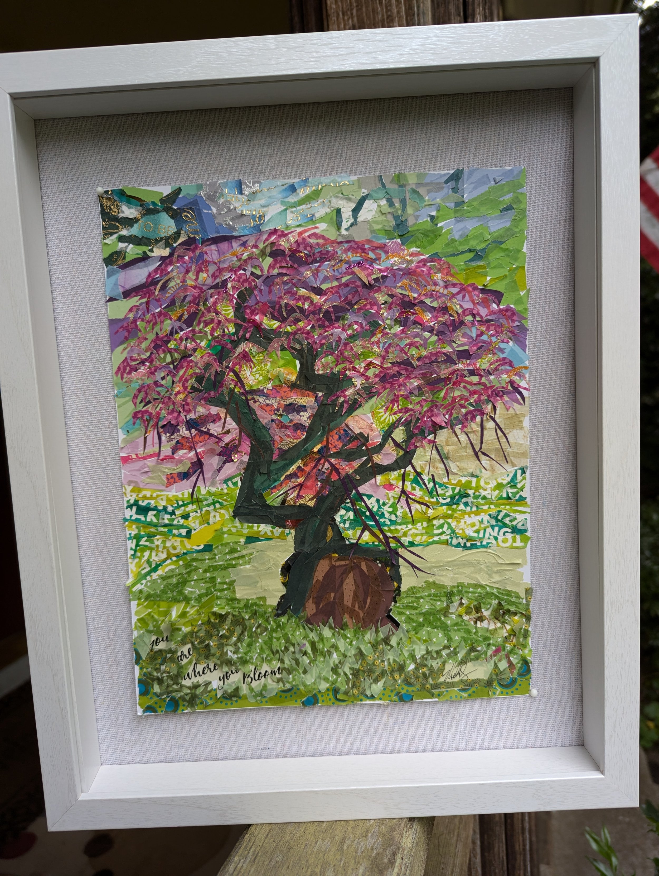 Japanese Maple tree with pink, purple, yellow and gold leaves with the trunk and branches in a green field