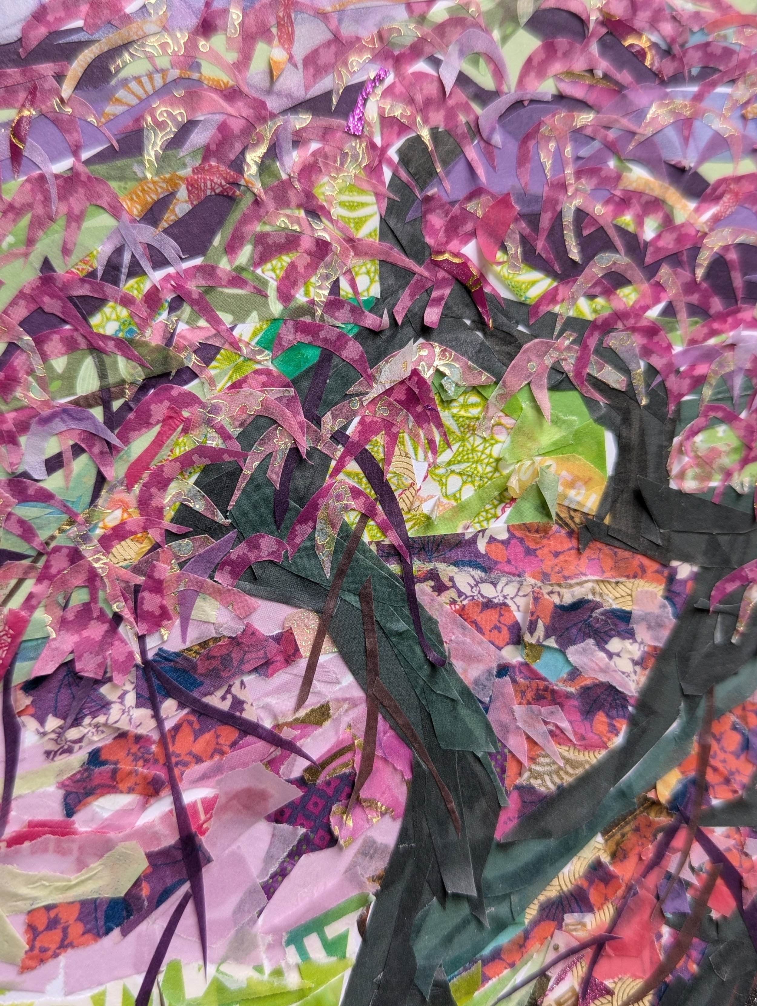 Close up detail of Japanese Maple tree leaves