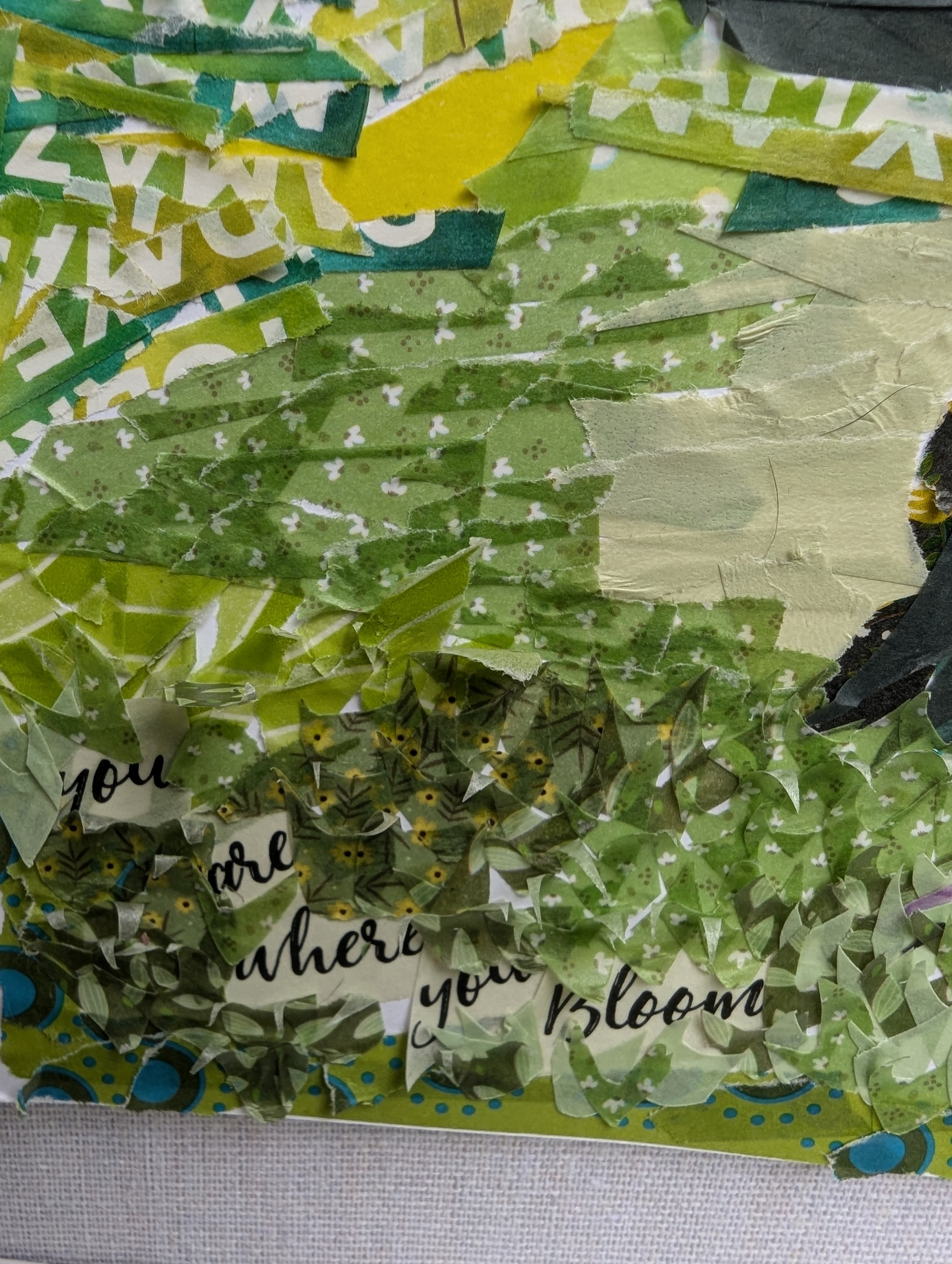 Close up detail of green field with the words you are where you bloom written in the green grass
