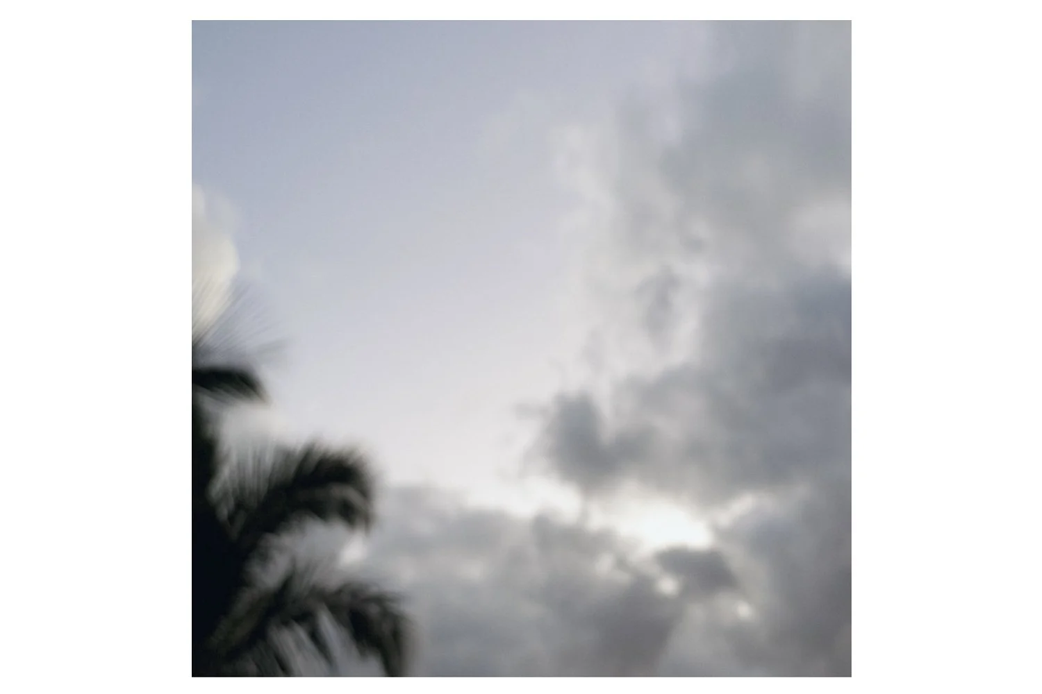 Aloha_1500_web_Adam_Secore.jpg