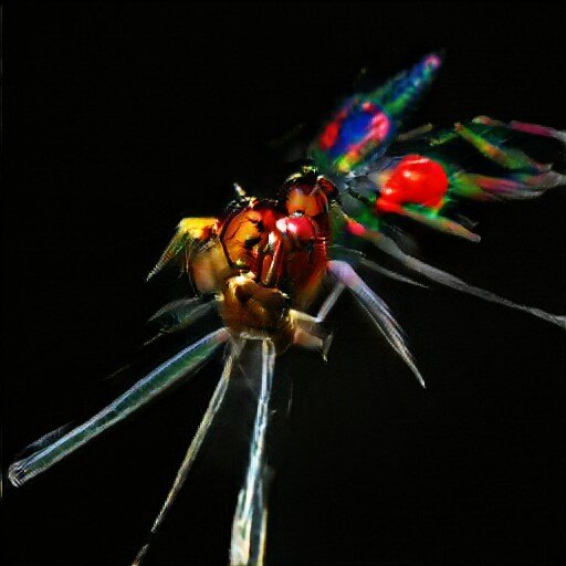 dragonfly