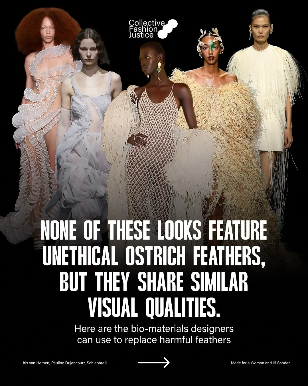 Love fluffy, voluminous, floating fashion? We can create that without exploiting birds and the planet for feathers. Here&rsquo;s how. 🪶