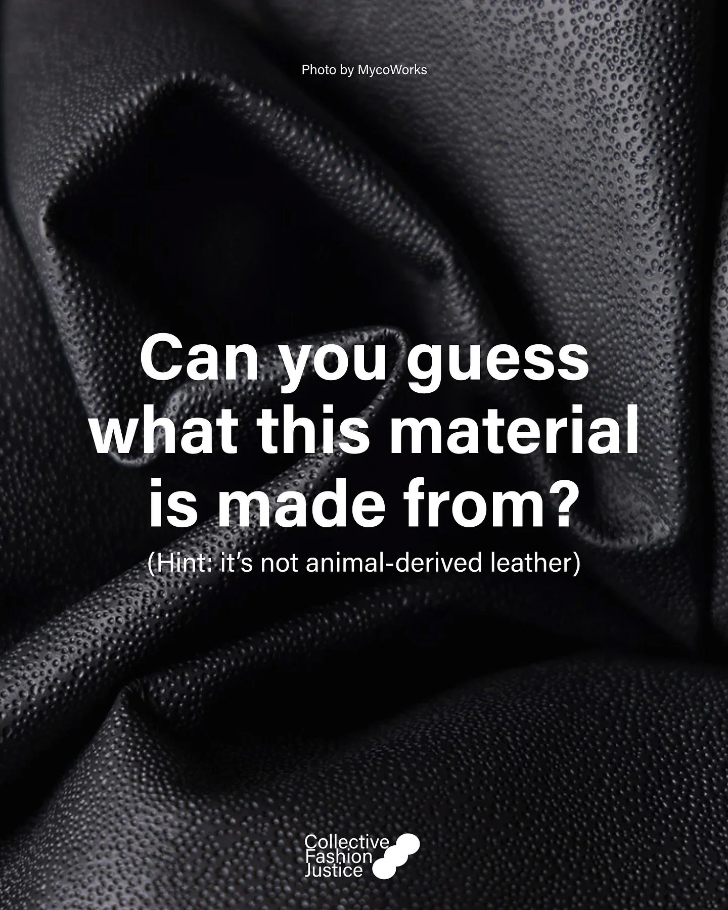 Which of these materials do you hope to wear in the future, instead of skins and plastic? 

When we engage with the fashion industry, we hear that brands don&rsquo;t think there is a strong enough market interested in these bio-leathers. 

Tell your 