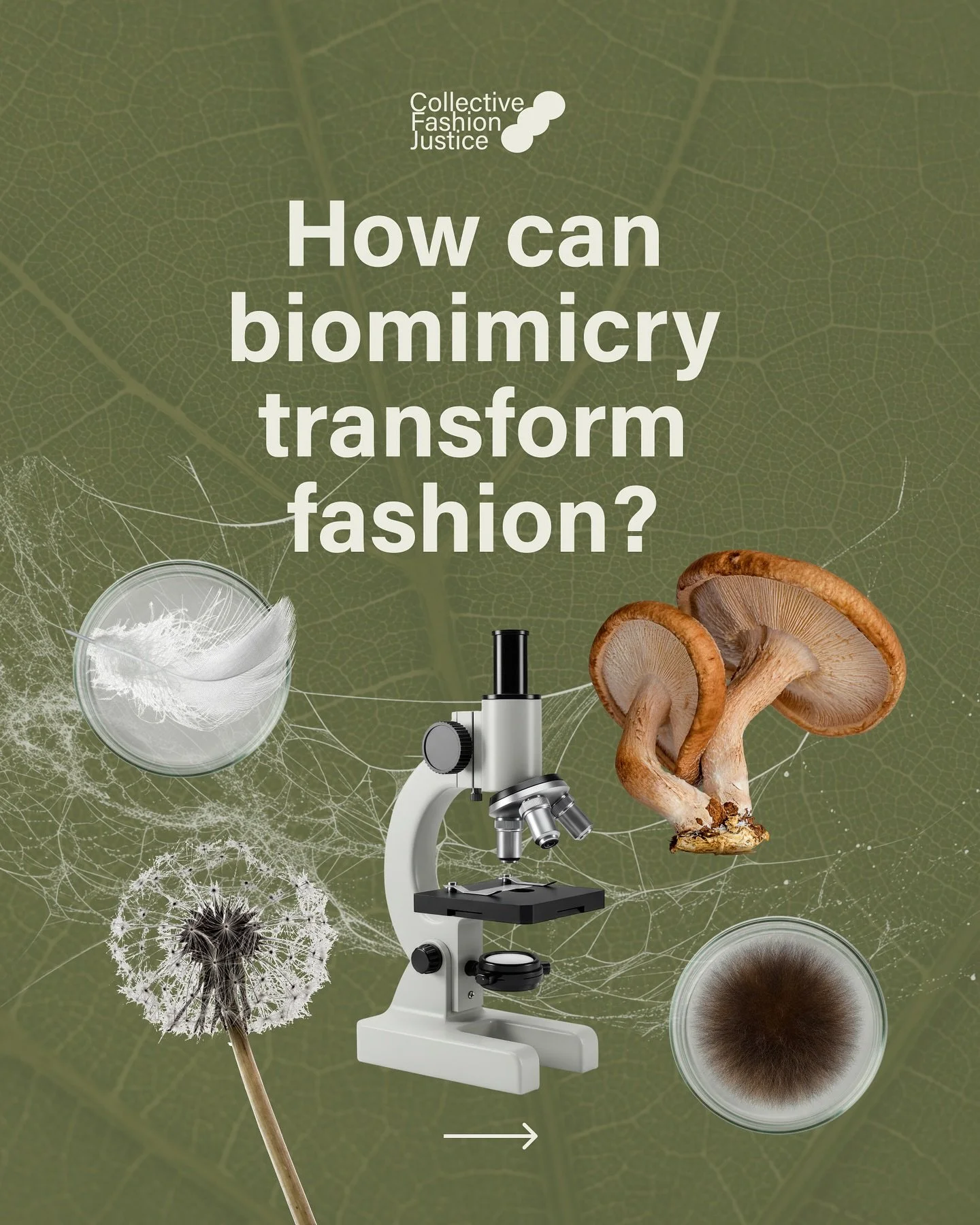 We can be inspired by nature in a way that allows us to take less from it. 🤎