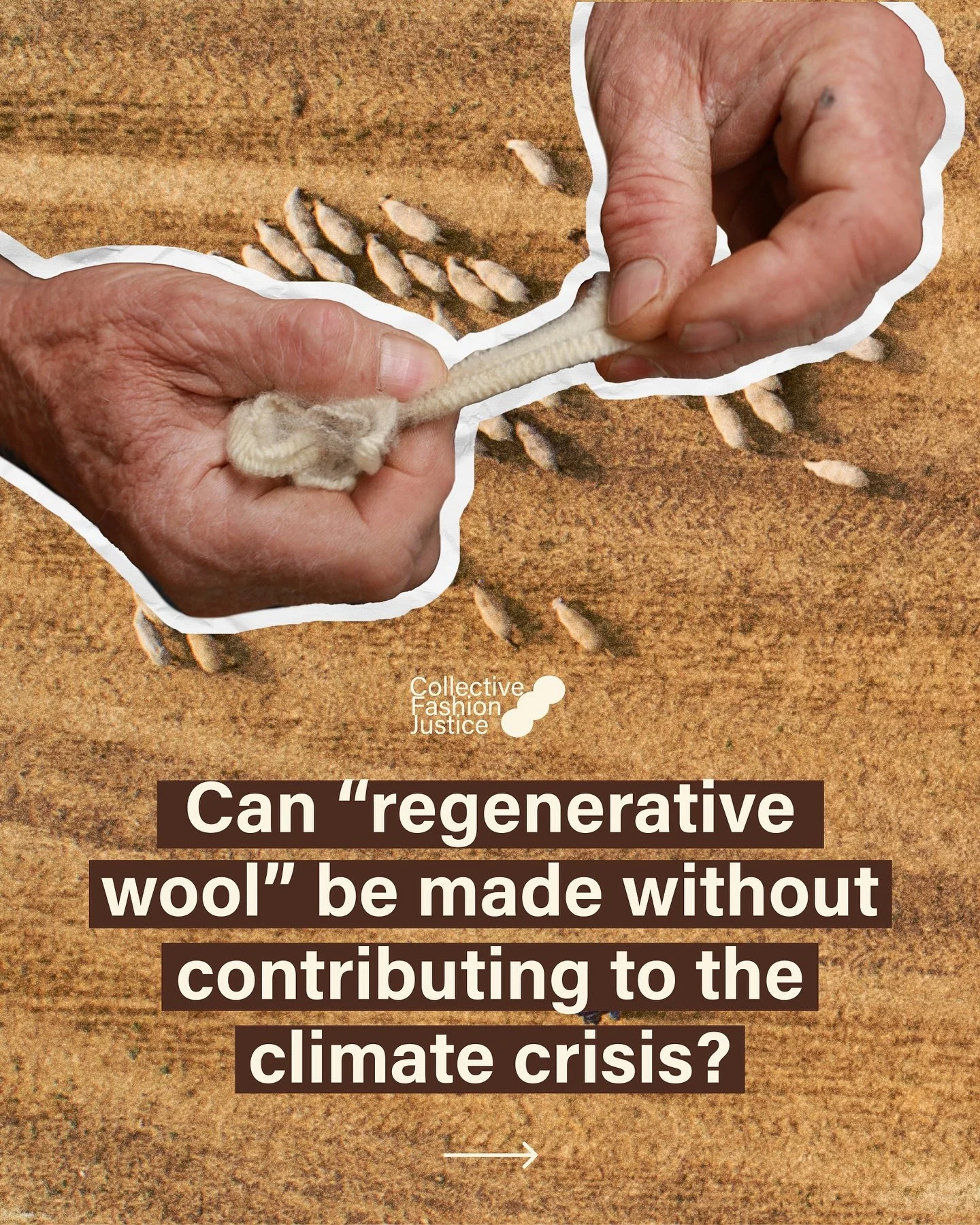 Could wool help end climate crisis? 

Yes &mdash; if we mean that a move beyond reliance on inefficient animal-derived systems (which when produced with holistic land management cannot be scaled without requiring more land be used for agriculture) ca