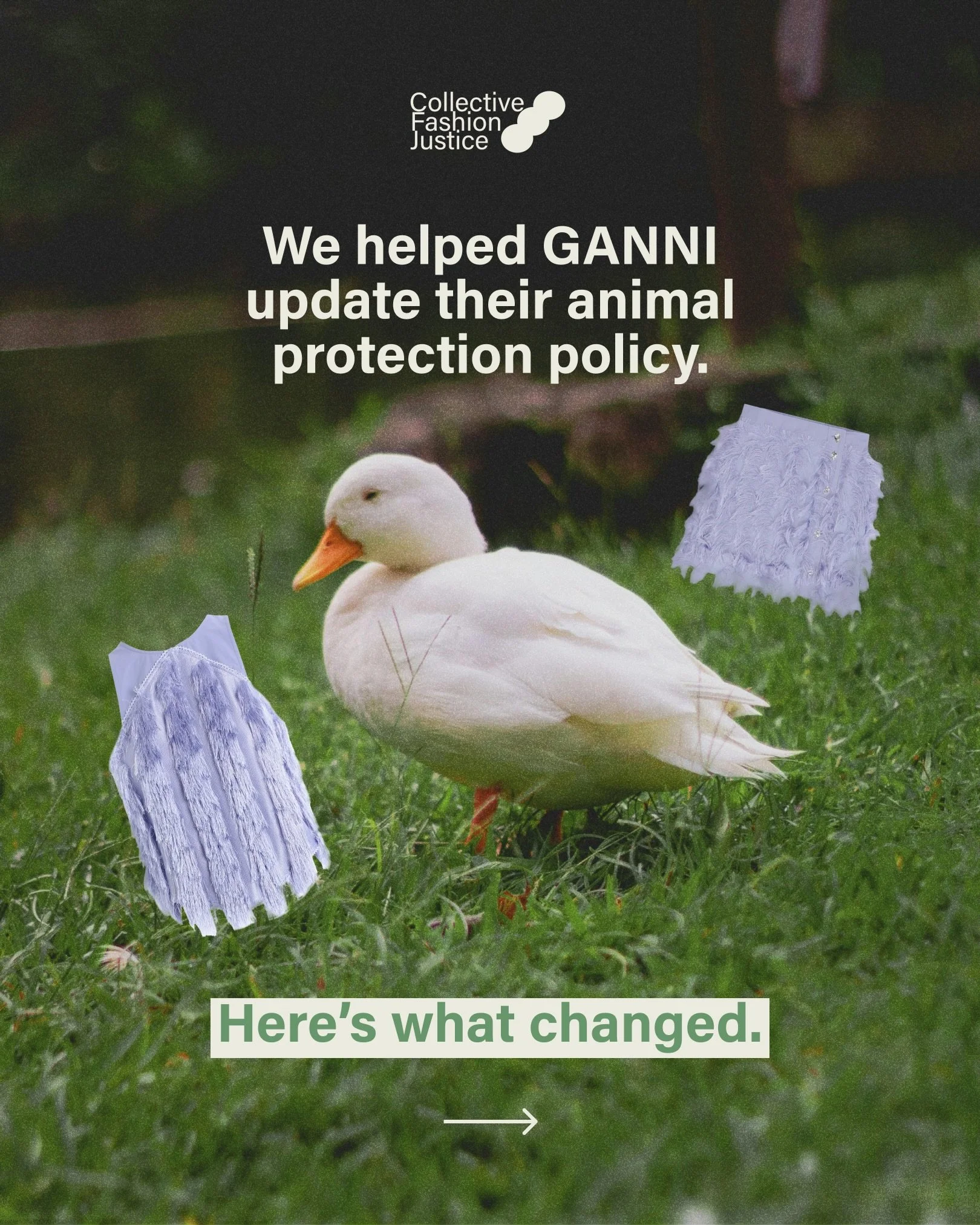 At CFJ, we love helping fashion brands to improve their policies and move closer towards total ethics fashion protecting people, our fellow animals and the planet. 

Thank you to @ganni @ganni.lab for their engagement on this! 🤎