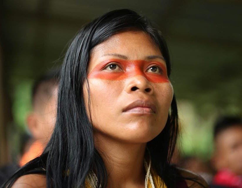 Indigenous land rights — Collective Fashion Justice