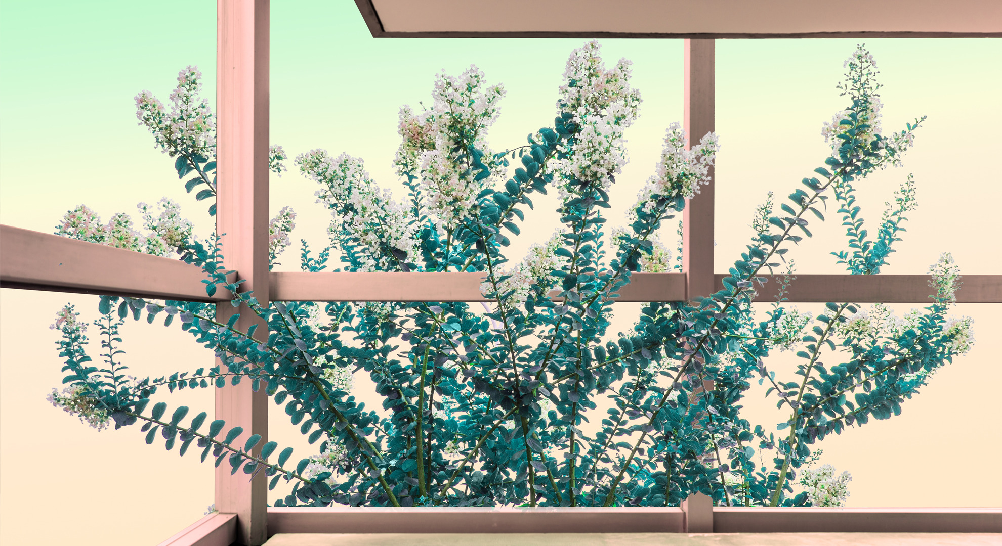 RMIT University School of Art Banner BA (Photography).png