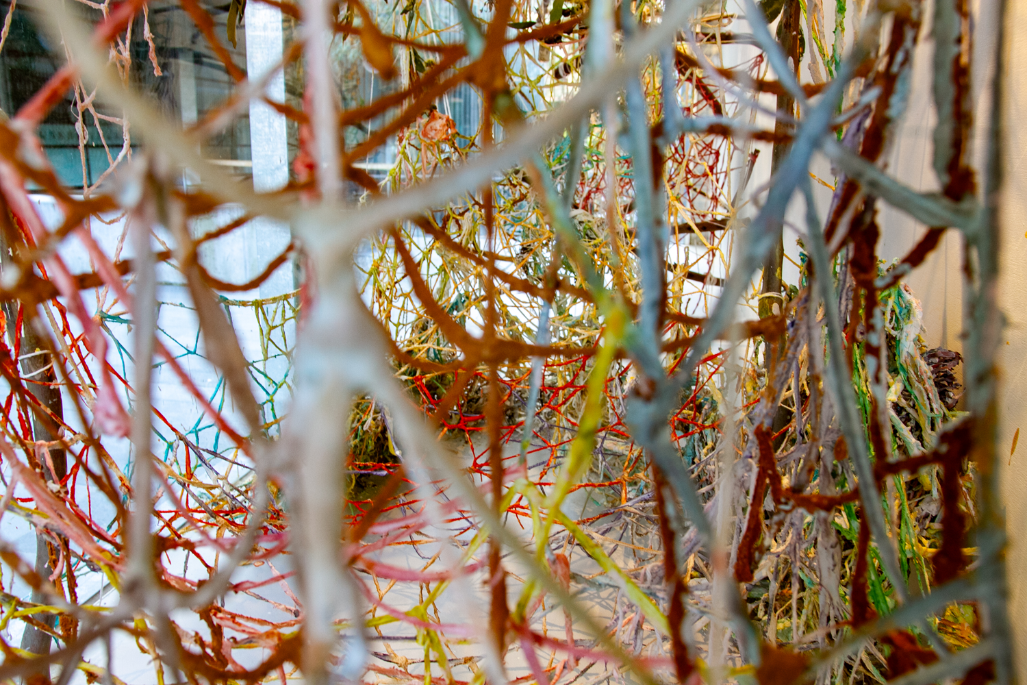 Installation view of am i listening? day 47 performance.